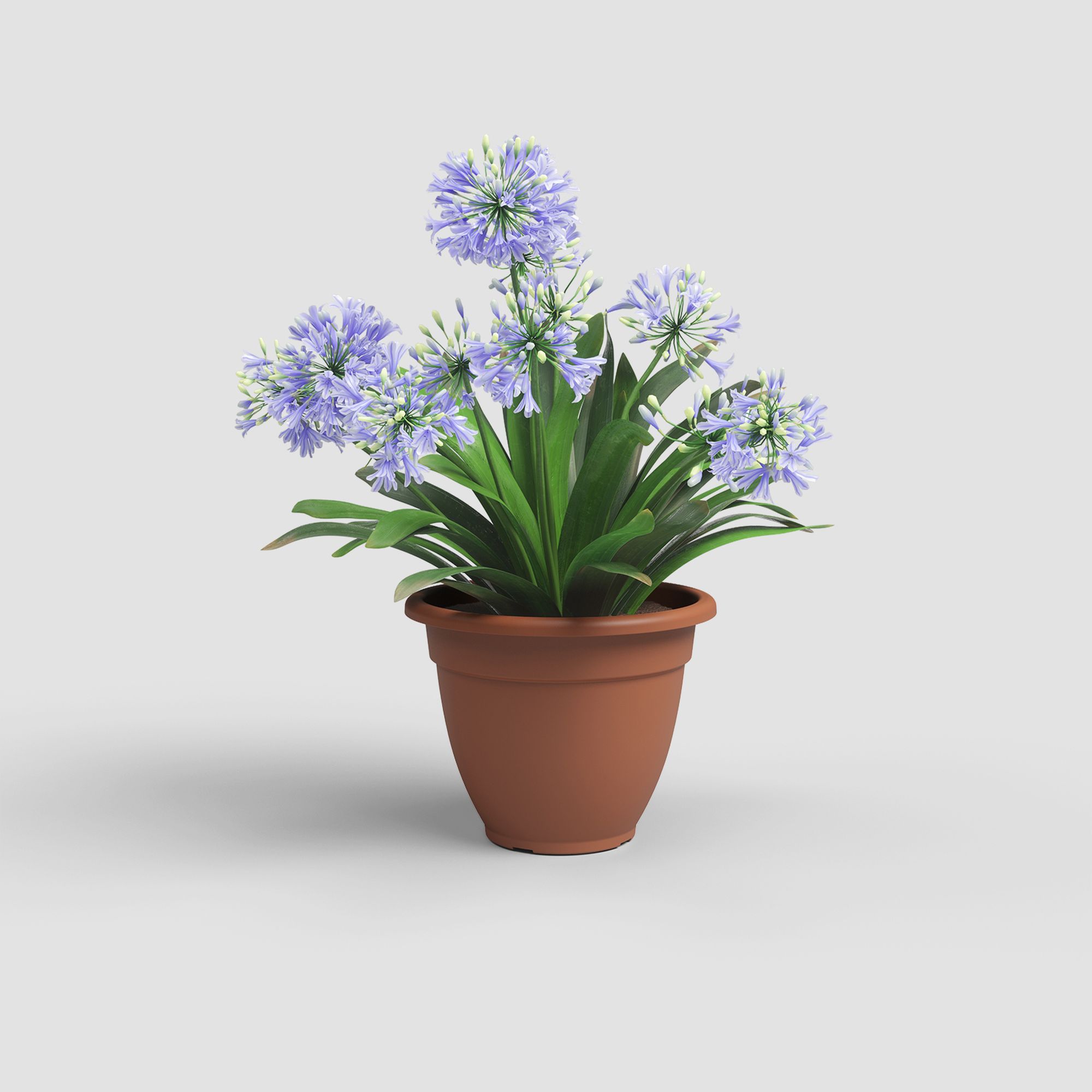 Maceta campana de polipropileno venezia marrón 39.6 cm