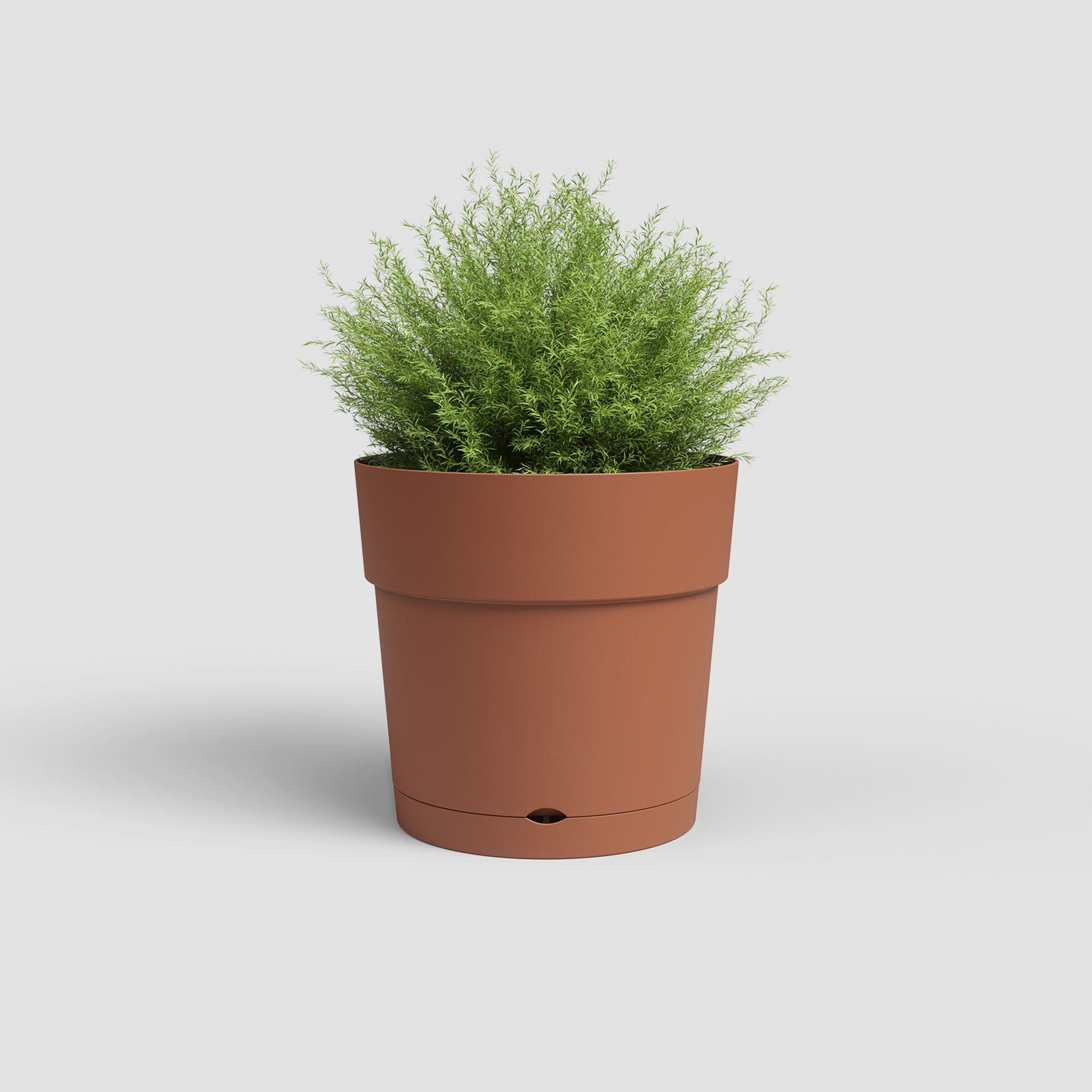 Maceta auto riego de polipropileno capri marrón 39.1x39.1x37cm