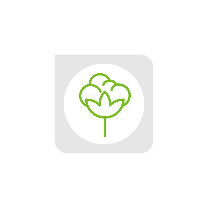 ficha-picto-algodon-01.png