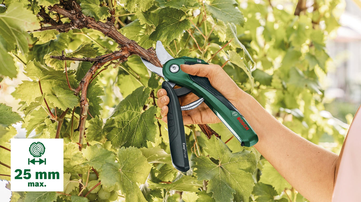 Cesoie potatura a batteria da giardino BOSCH EasyPrune 3.6V, 1 batteria inclusa - 3