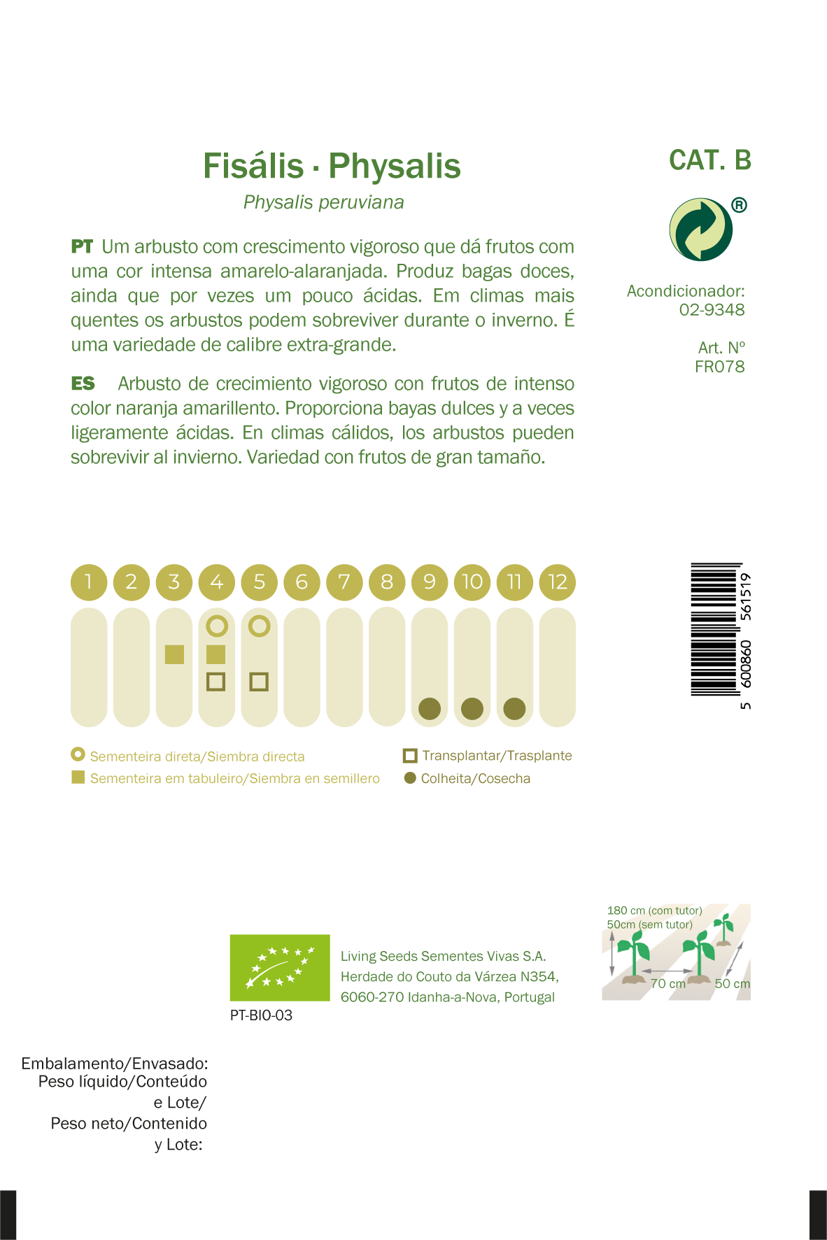 Semilla fisalis bio