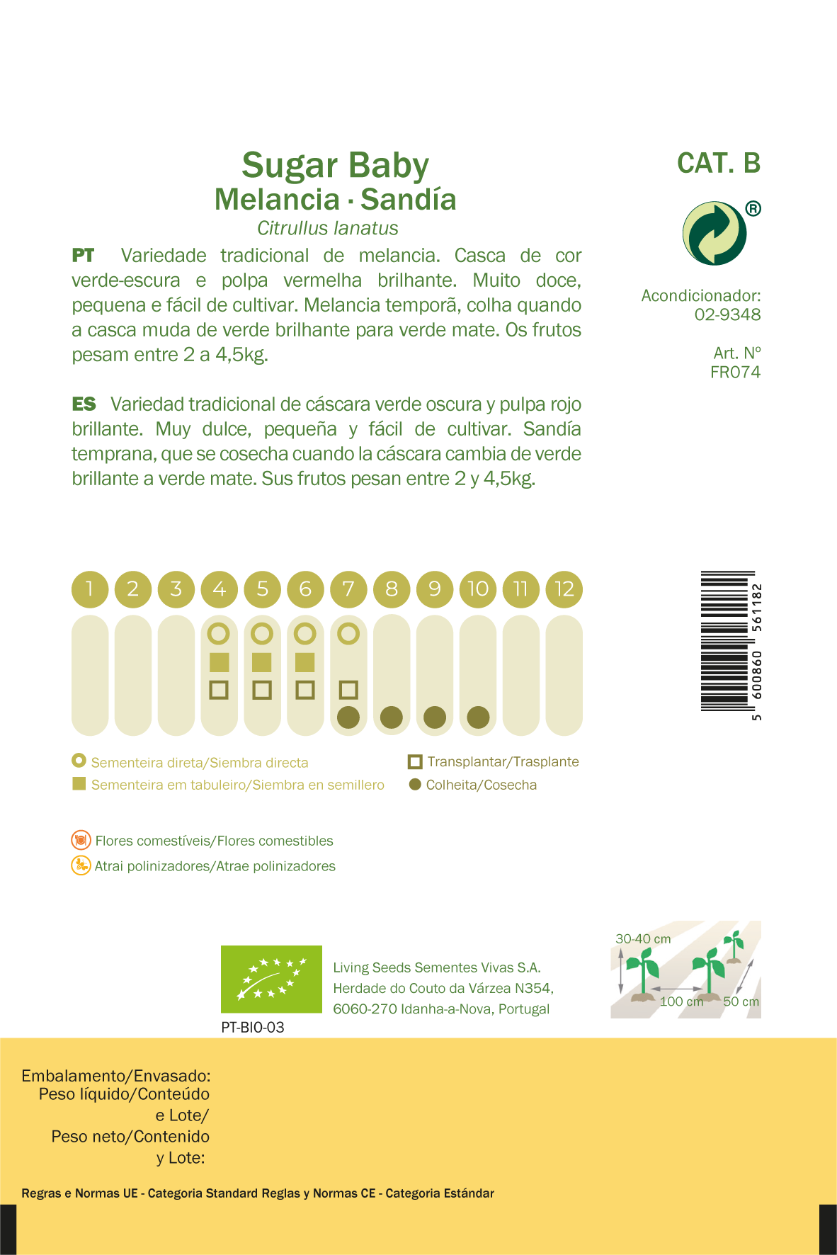 Sementes melancia sugar baby sementes vivas biologico - 2