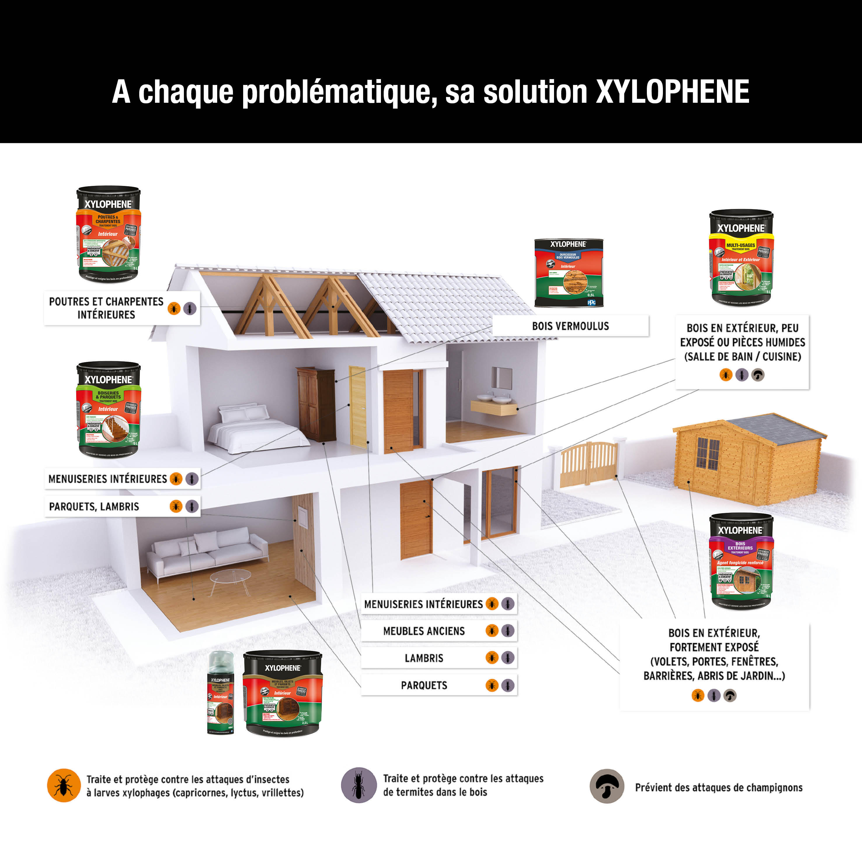 Traitement bois meubles, objets et parquets intérieur aérosol 1 L - XYLOPHENE - 3