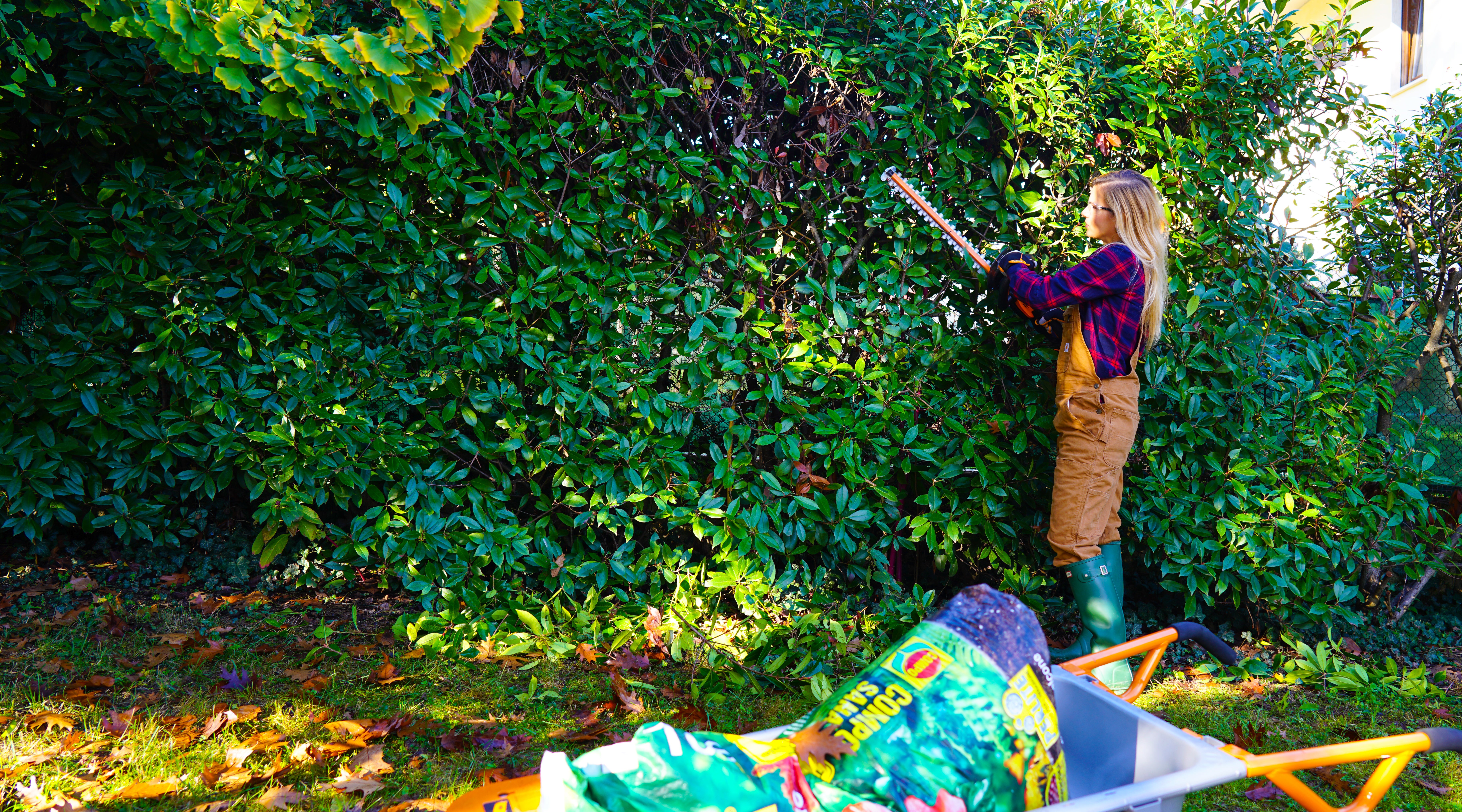 Tagliasiepi a batteria in abs WORX Powershare WG264E lama da 56 cm 20 V 1 batteria inclusa con caricatore - 13