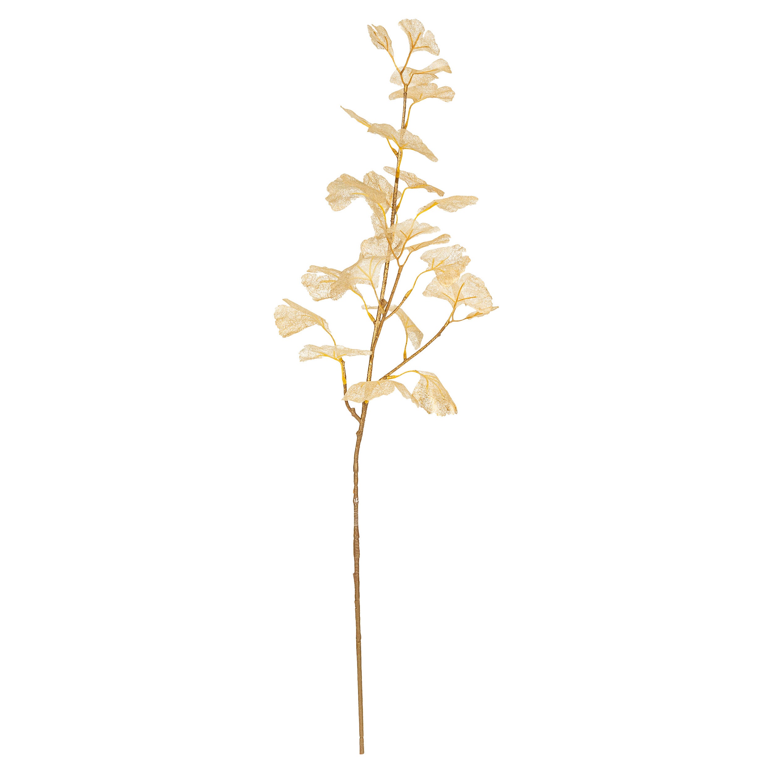Branche ginkgo doré - 2