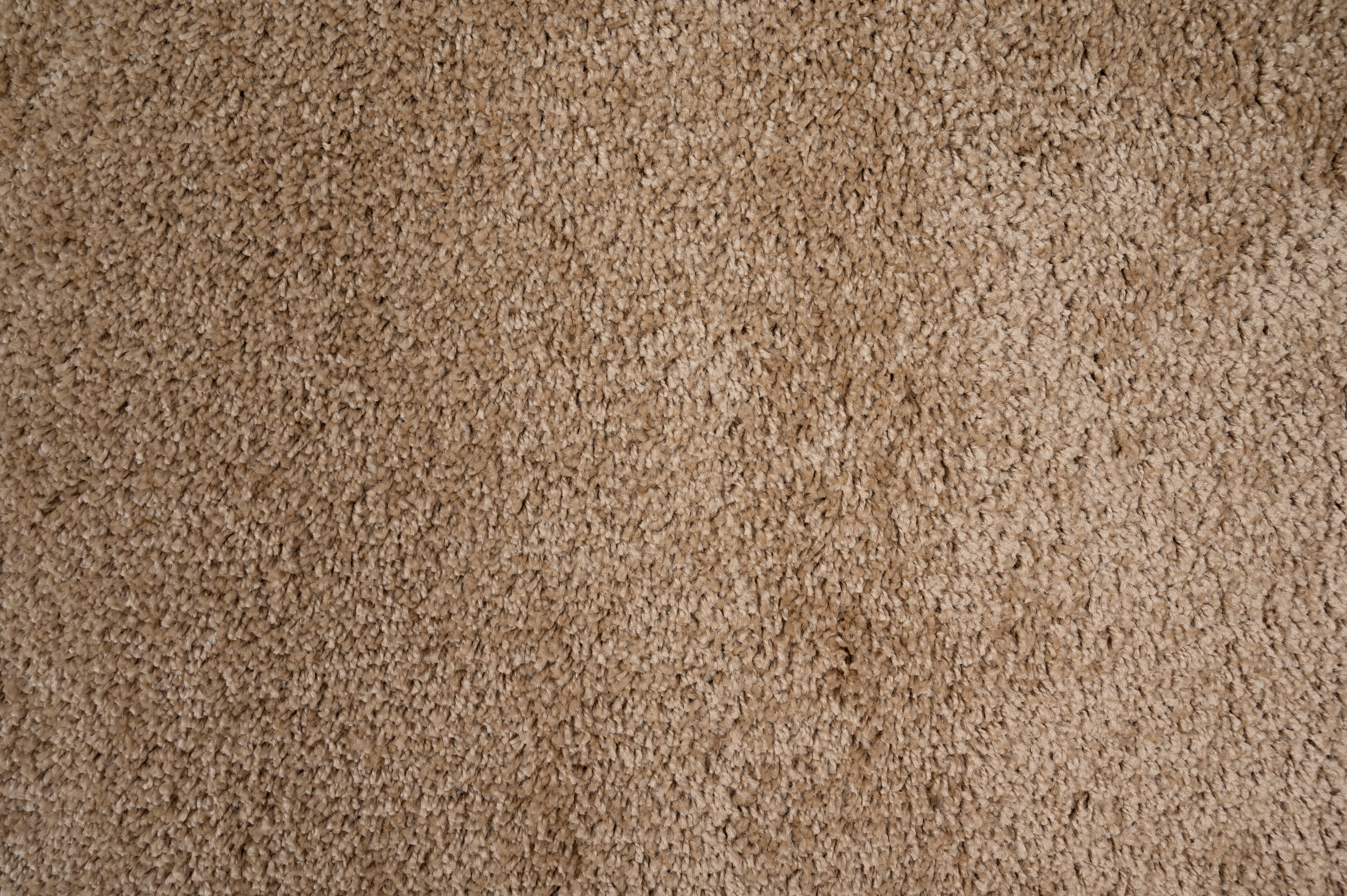 Alfombra polipropileno Shaggy Norge 160x230cm pelo largo  liso lino - 5