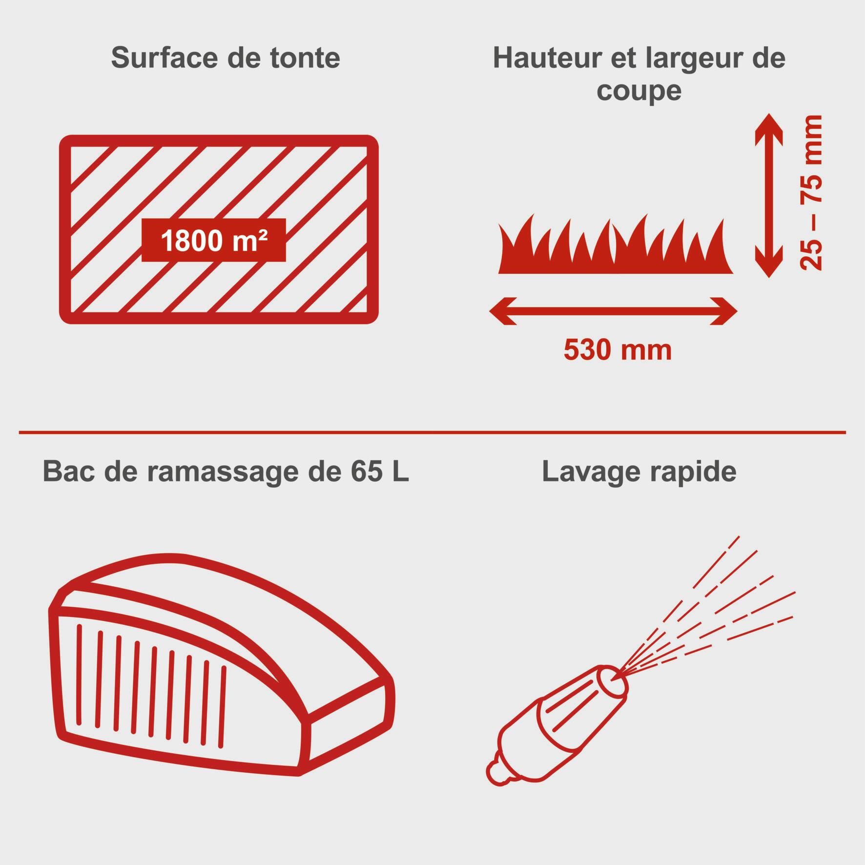 Tondeuse à essence SCHEPPACH Ms225-53e , 224 cm³, l.53 cm, démarrage électrique - 10