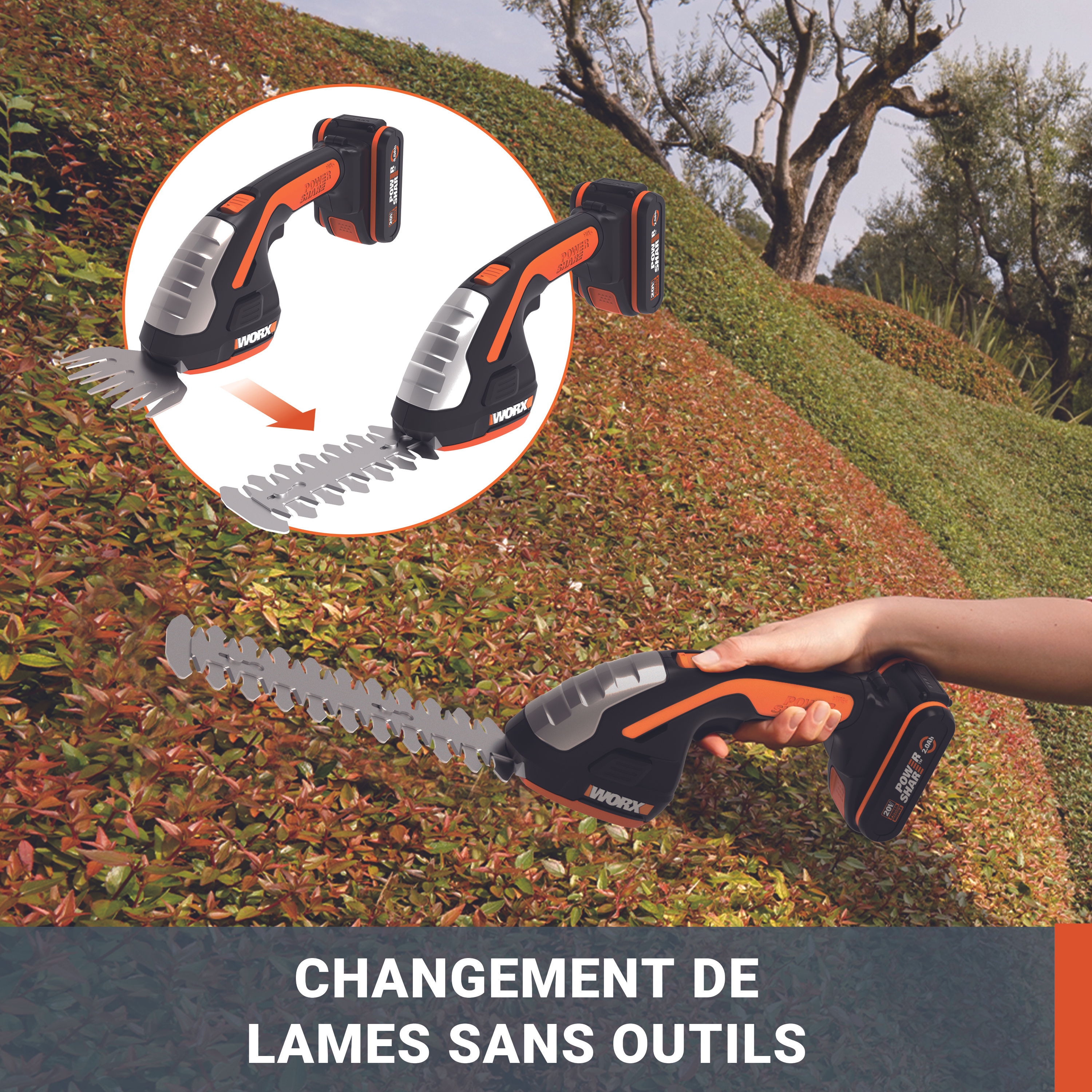 Sculpte-haies et Taille-herbes 20V WORX - WP808E (1 batterie 2Ah et chargeur) - 3
