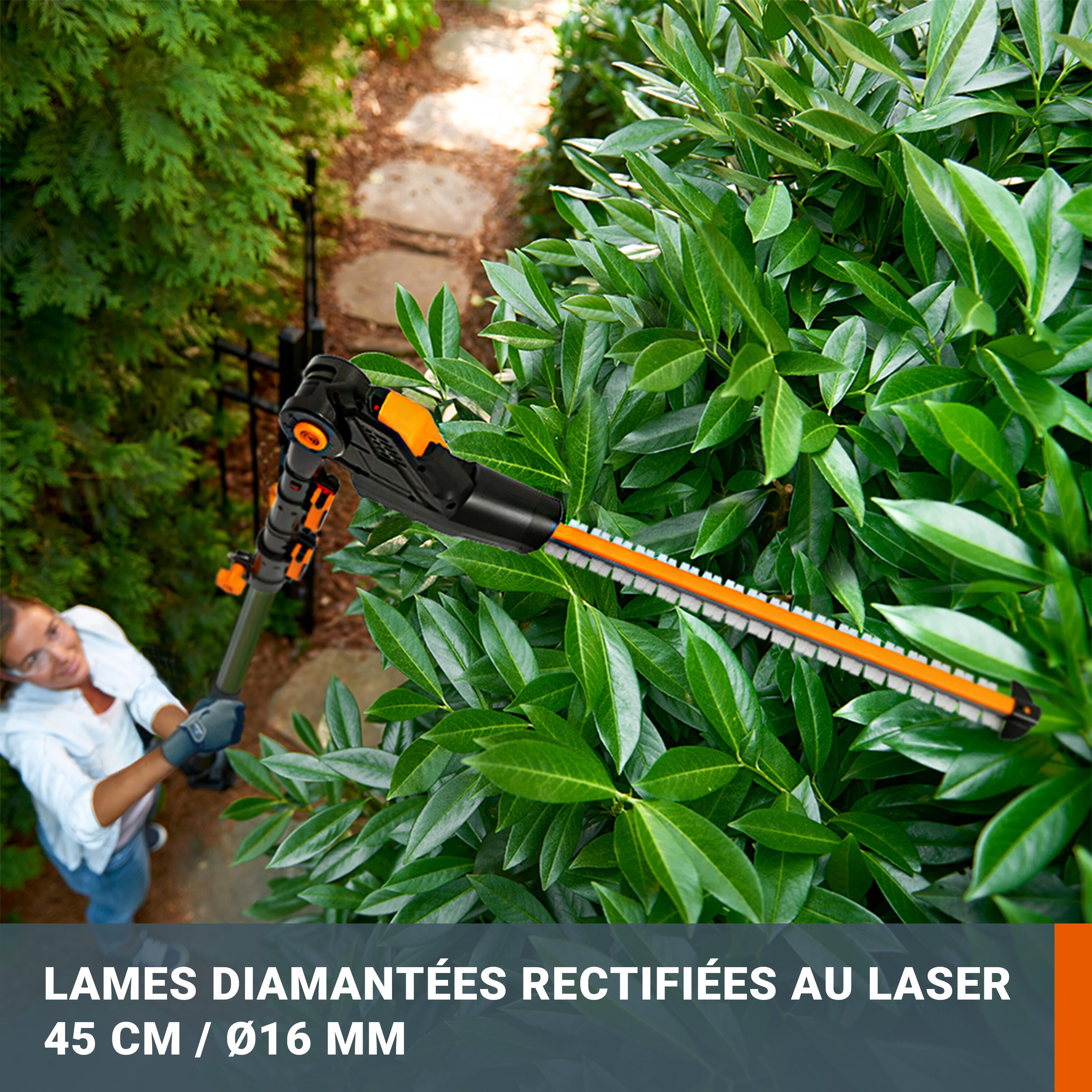 Taille-haies sur perche 20V WORX - WG252E.9 (Sans batterie ni chargeur) - 3