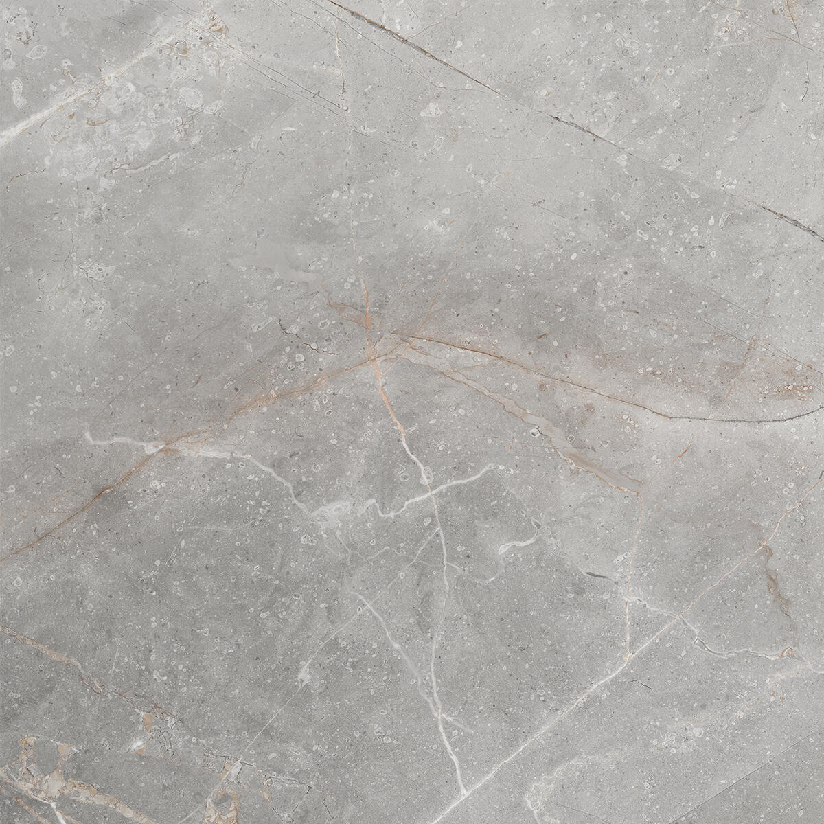 Piastrella da pavimento e rivestimento interno in gres porcellanato 60 x 60 cm rettificato smaltato grigio-argento marmorizzato opaco Elite R9 traffico intenso (pei 4/5) Sp. 7.4 mm 1.44 mq - 8