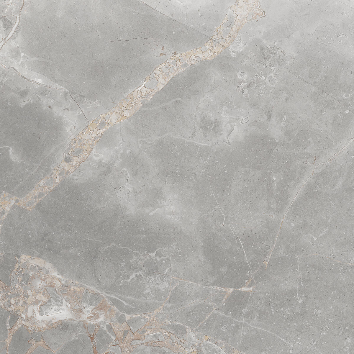 Piastrella da pavimento e rivestimento interno in gres porcellanato 60 x 60 cm rettificato smaltato grigio-argento marmorizzato opaco Elite R9 traffico intenso (pei 4/5) Sp. 7.4 mm 1.44 mq - 6