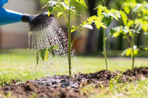 com-CaldendarioGiardiniere-detail-innaff