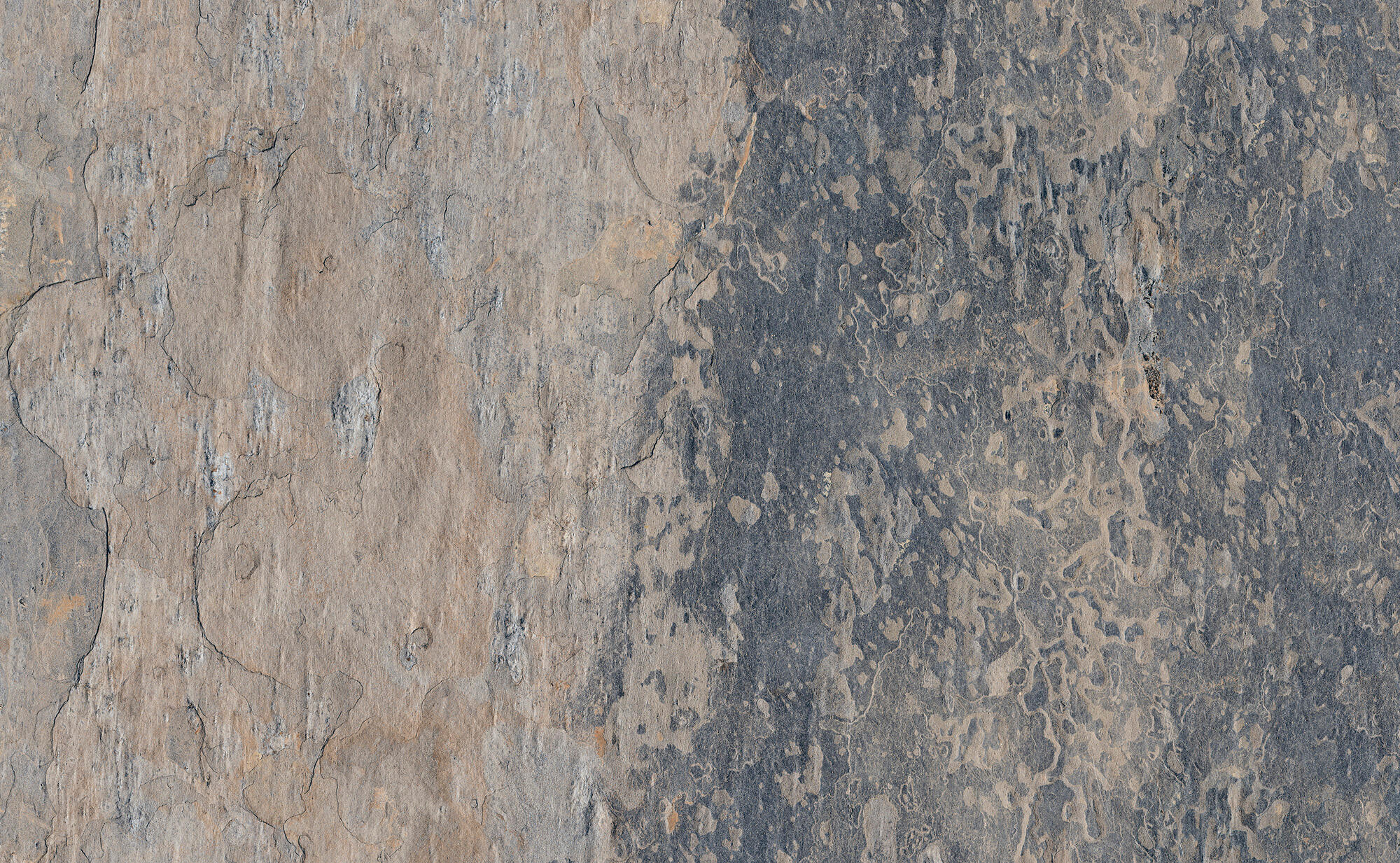 Suelo porcelánico ardesia efecto piedra gris antislip 40.8x66.2 cm c3