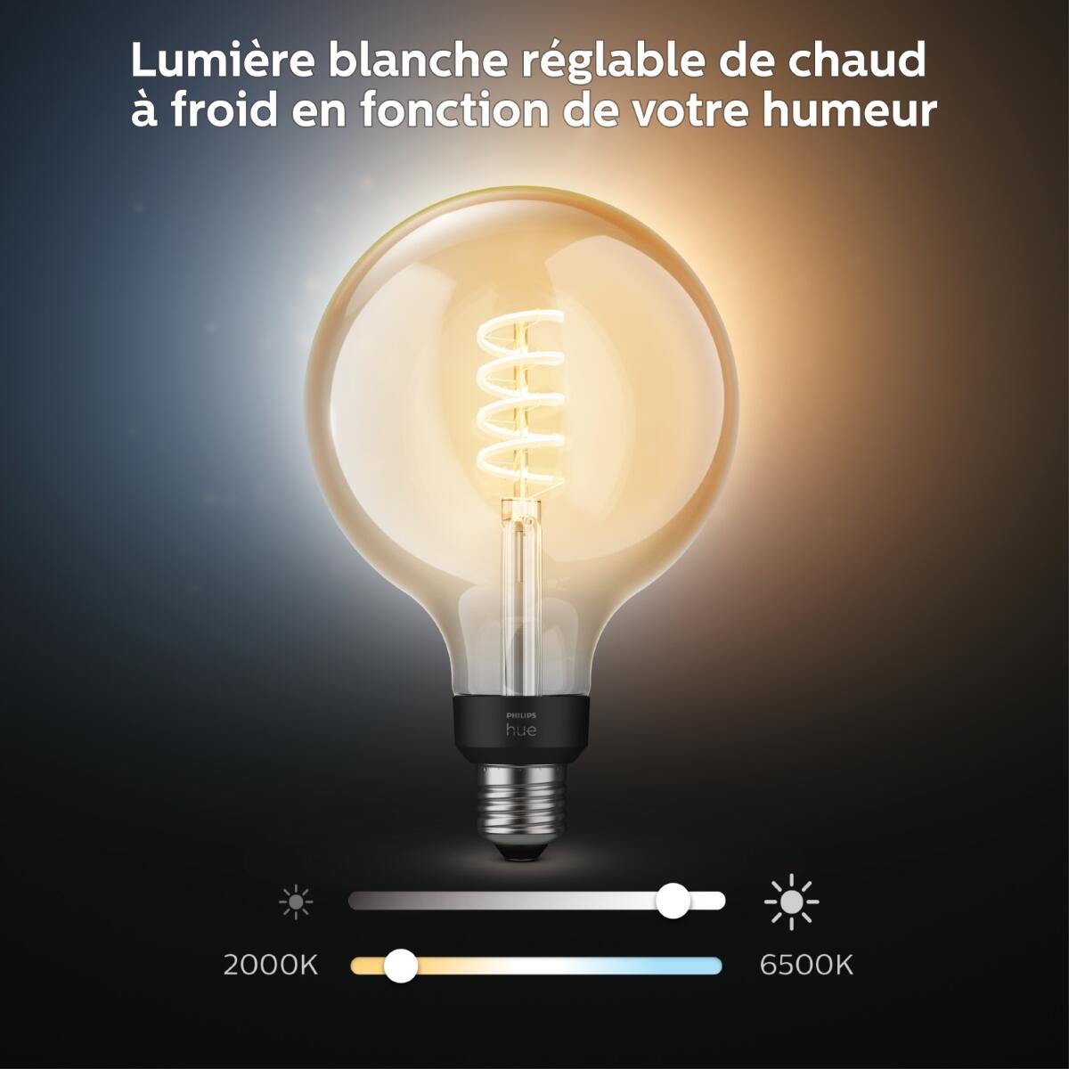 Ampoule led connectée globe 125mm E27, 40W, variation de blancs, PHILIPS HUE - 6