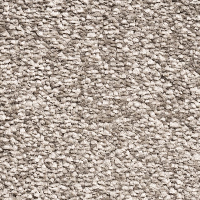 Moquette tufté uni marron, rouleau l.4 m