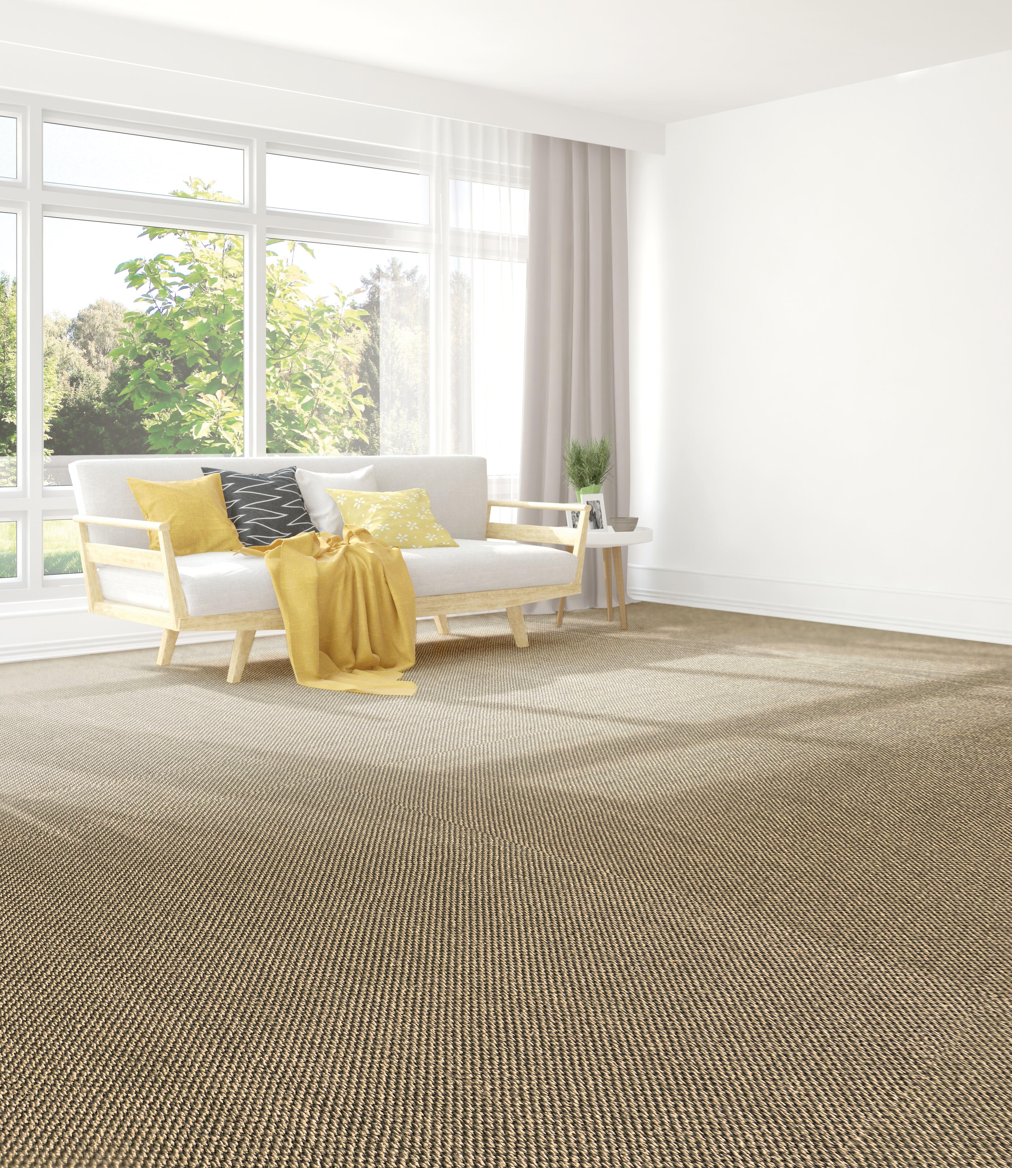 Sisal structuré beige, Orge, rouleau l.4 m - 2