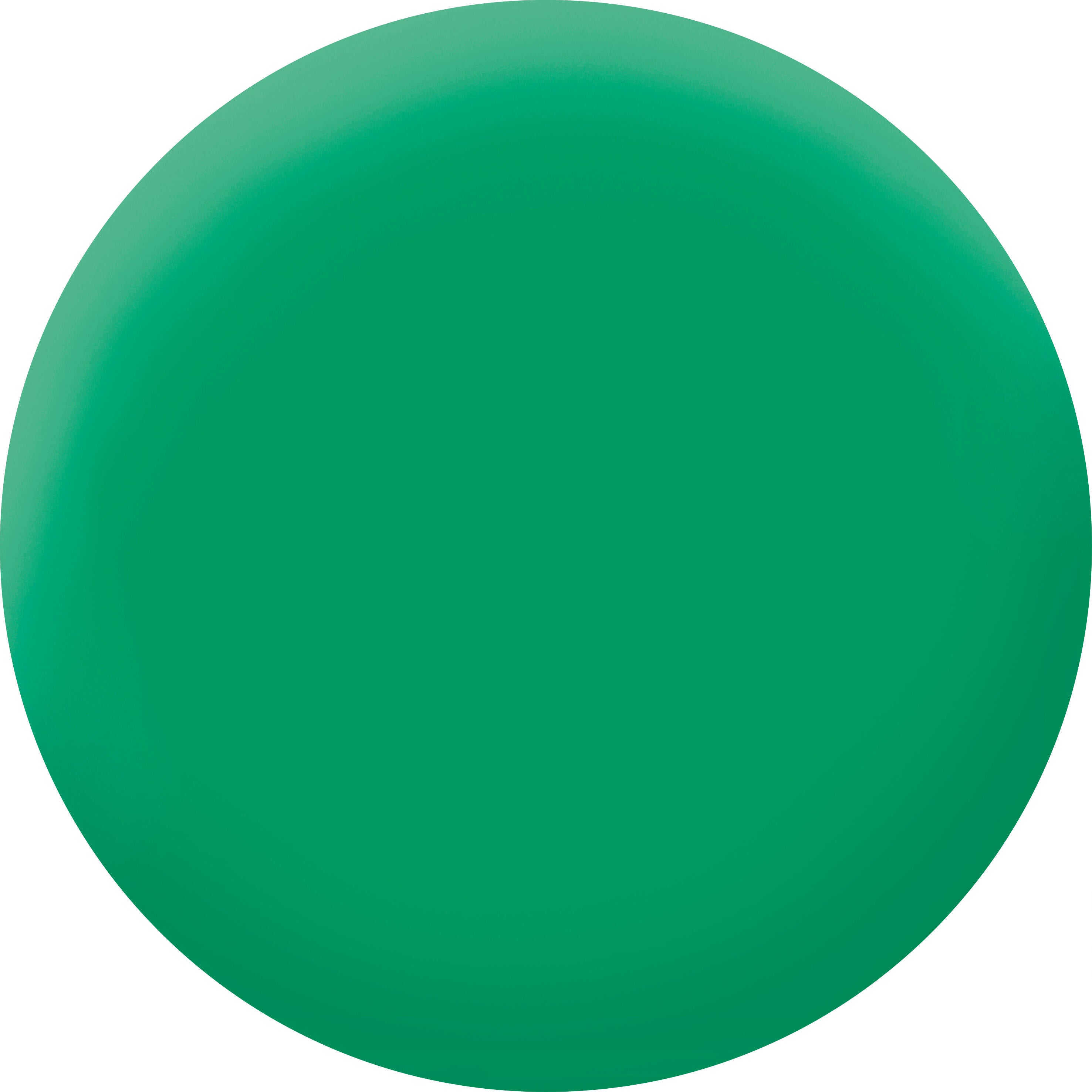 Bombe de peinture Relook tout MAISON DECO cactus brillant400 ml - 2