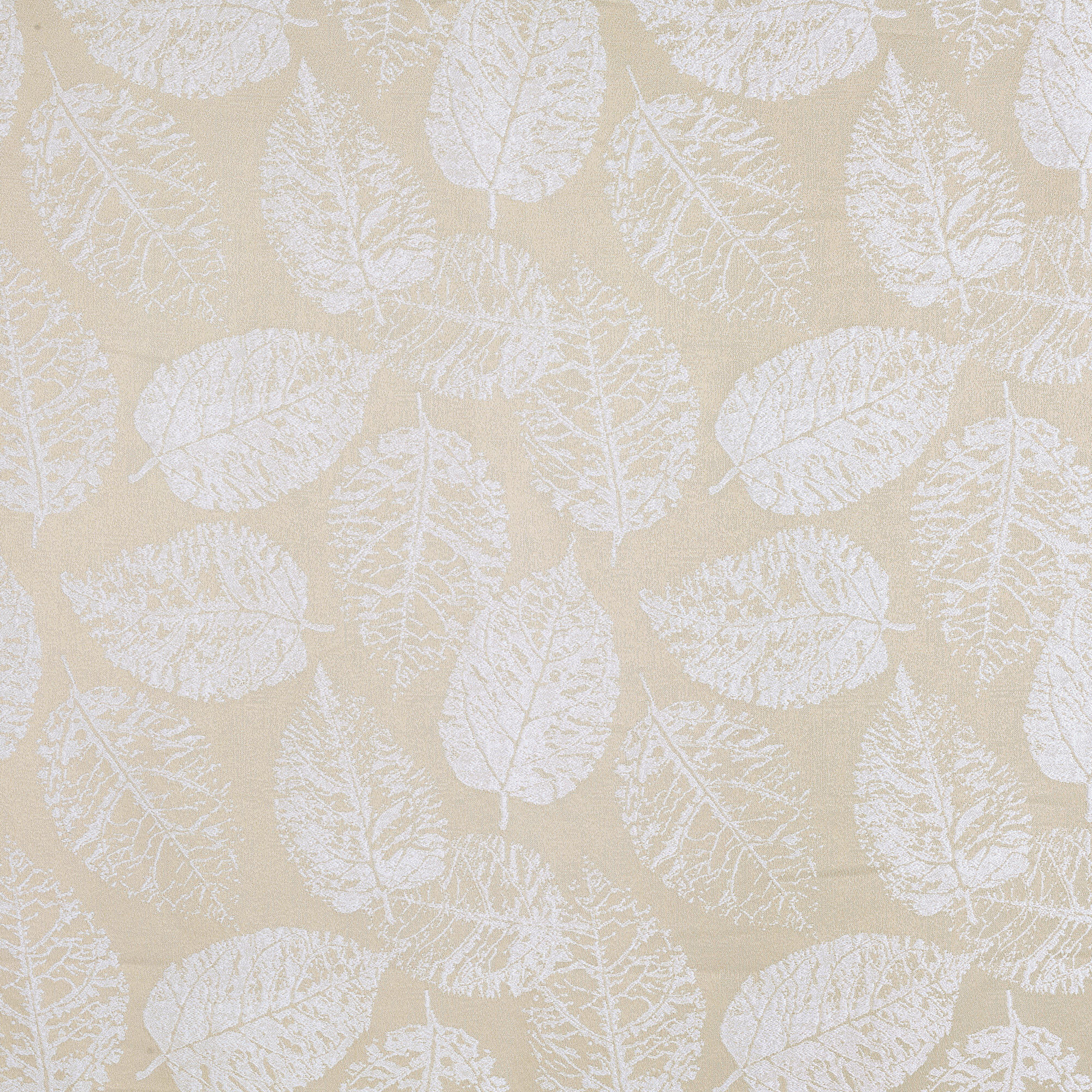 Rideau tamisant, Foglio, beige H.260 x l.140 cm - 2