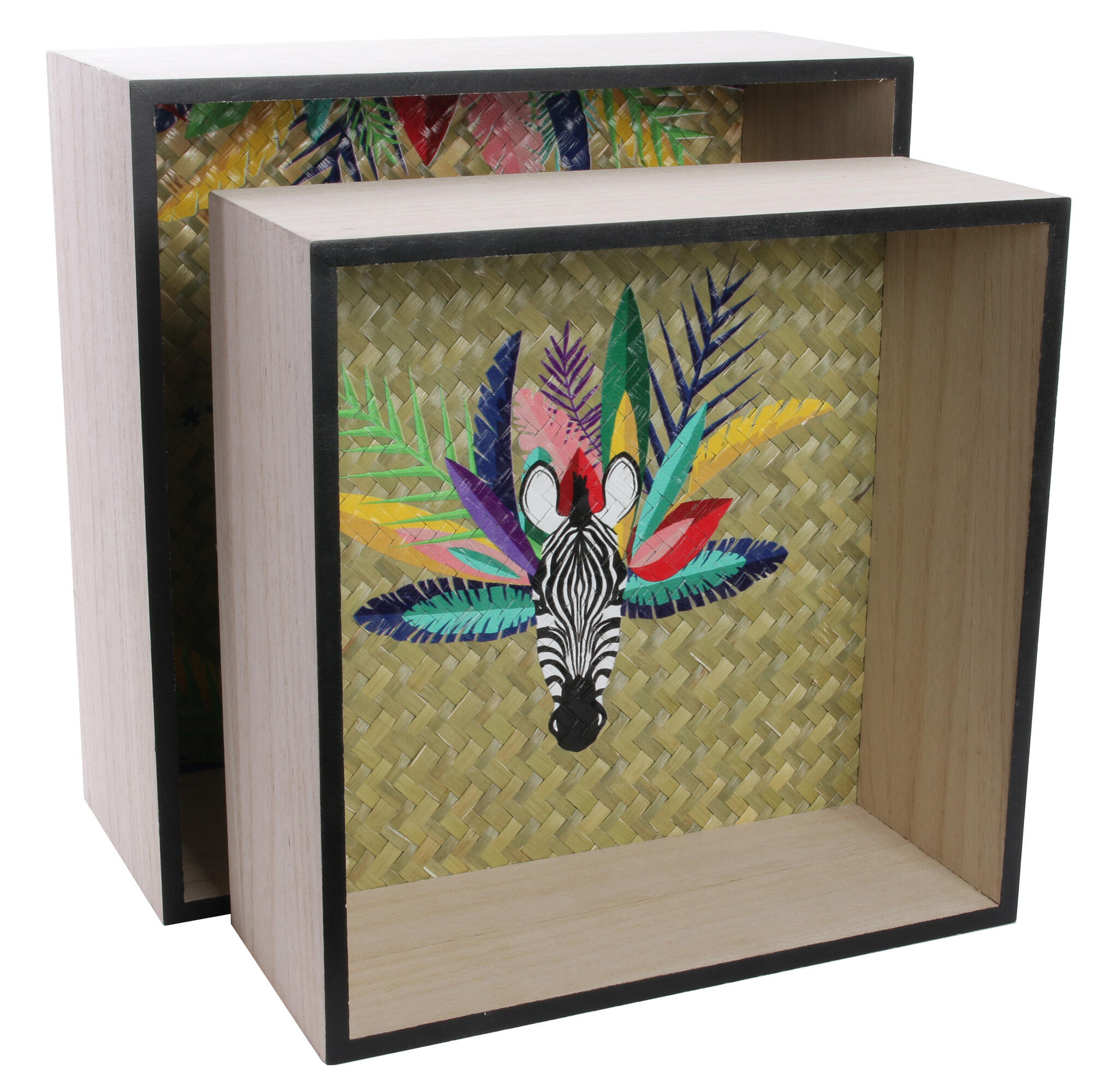 Pack 2 estantes exotic sauvage