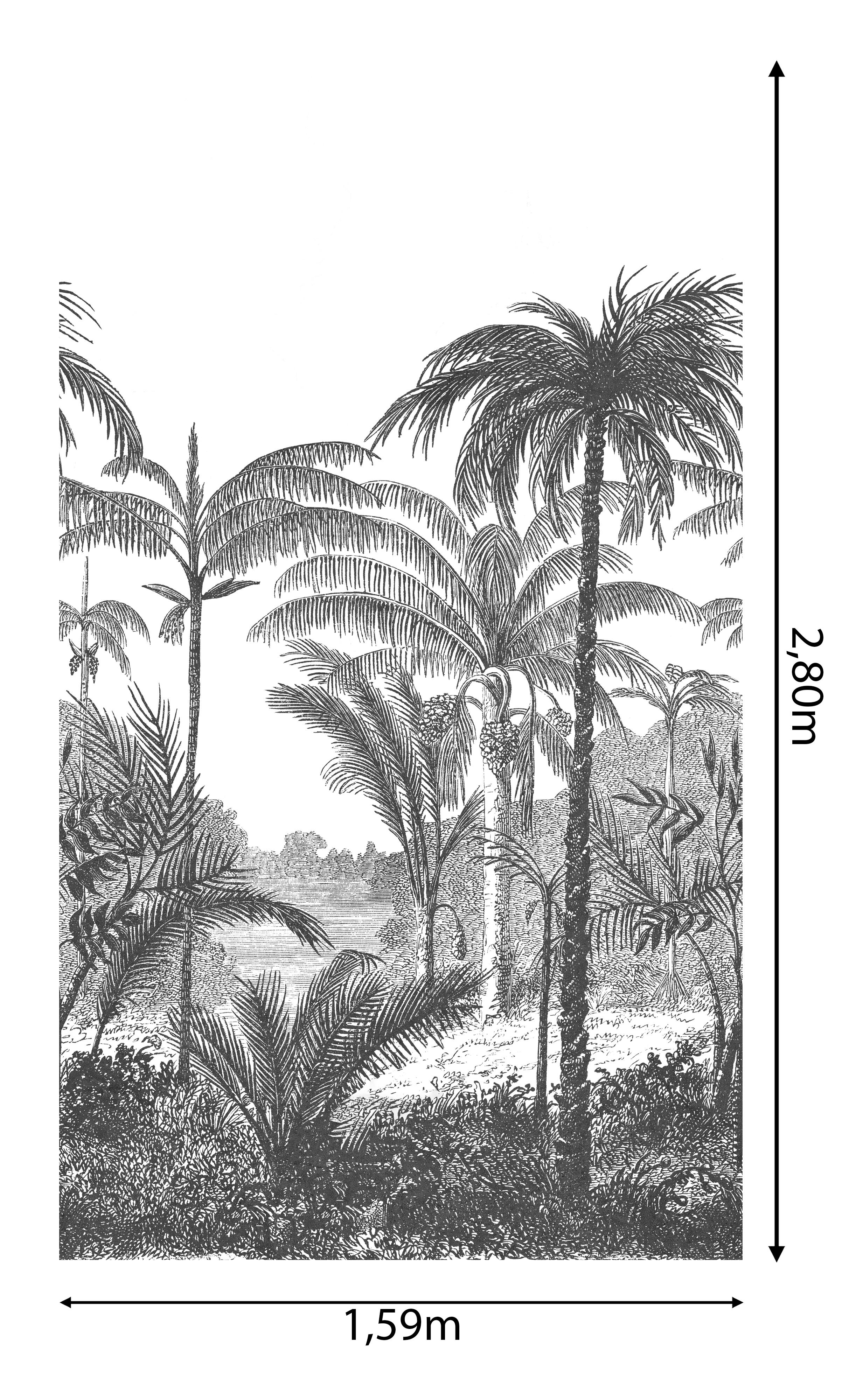 Mural TNT liso lavable naturaleza Palmeras negro 159 x 280 cm GRANDECOLIFE - 4