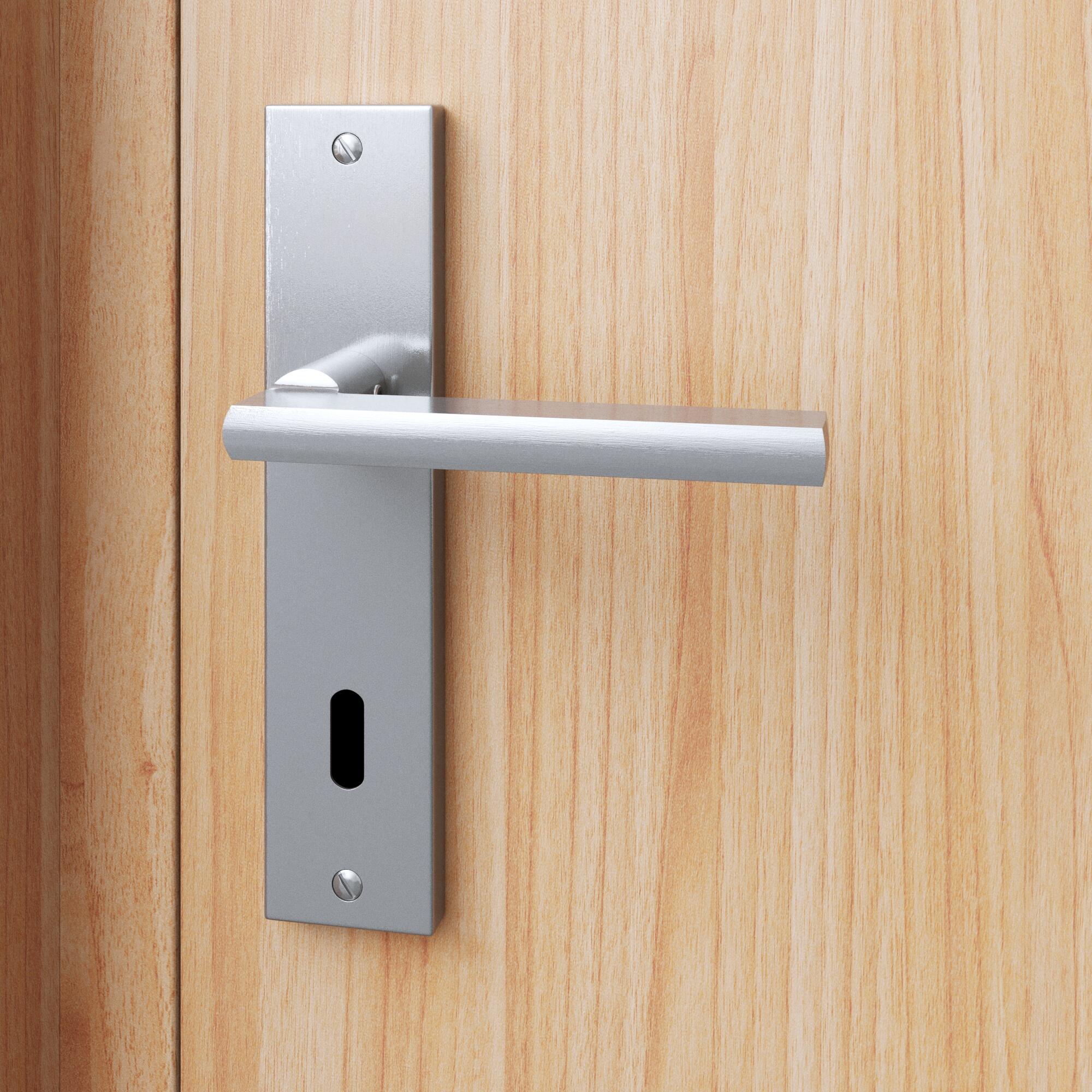 Poignée de porte sur plaque aspect nickel entraxe 165 mm Clé en L DAREN x2 - 4