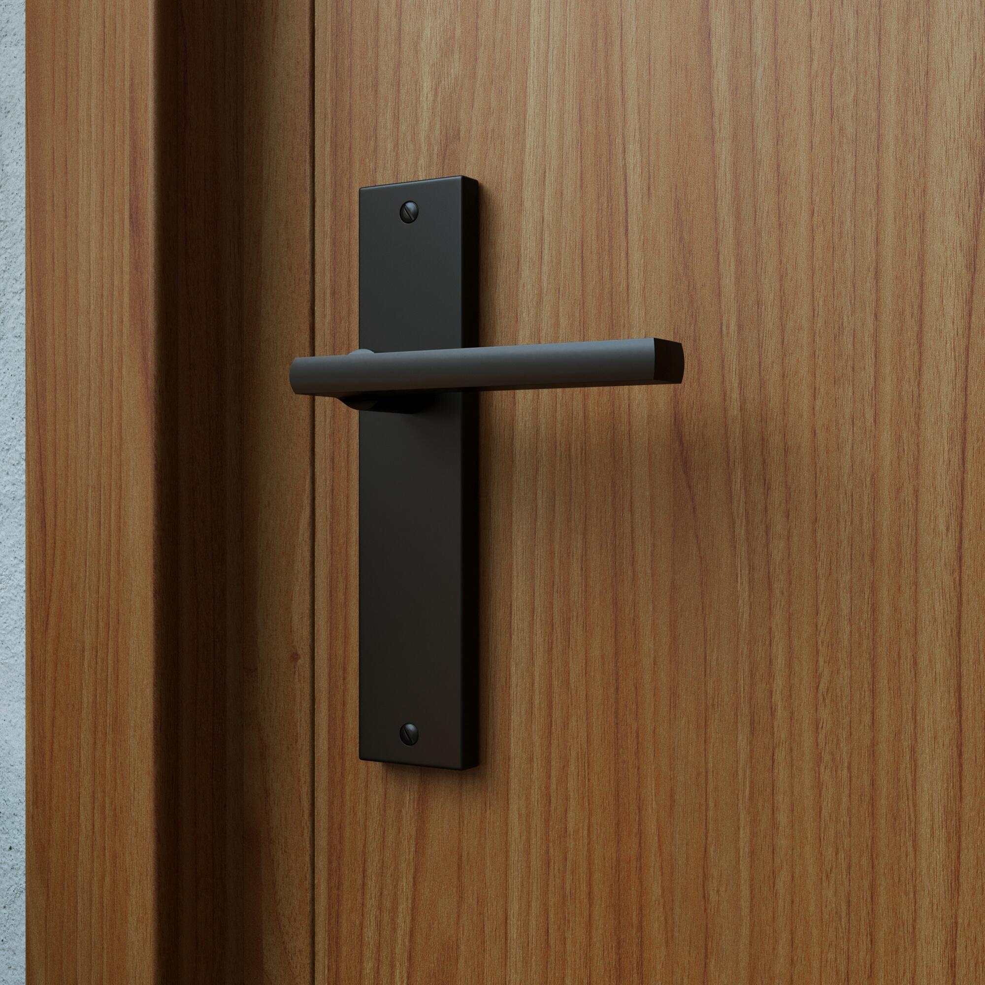 Poignée de porte sur plaque noire entraxe 165 mm bec de cane DAREN x2 - 3
