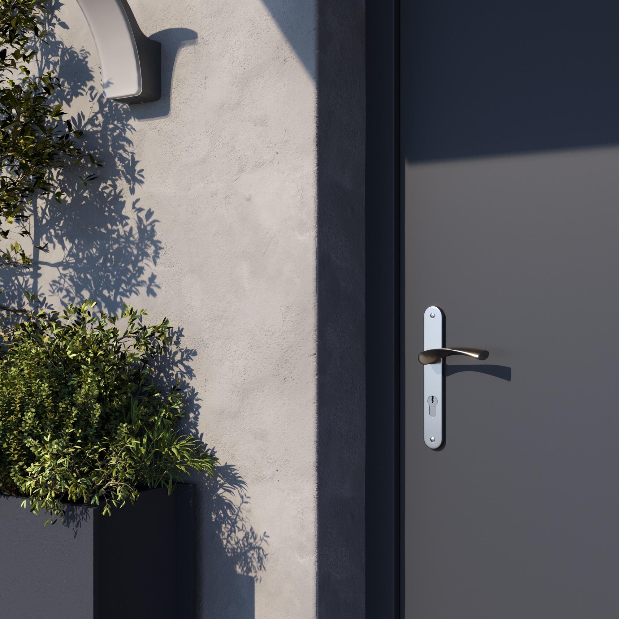 Poignée de porte sur plaque aspect nickel entraxe 195 mm Clé en I INELA x2 - 2