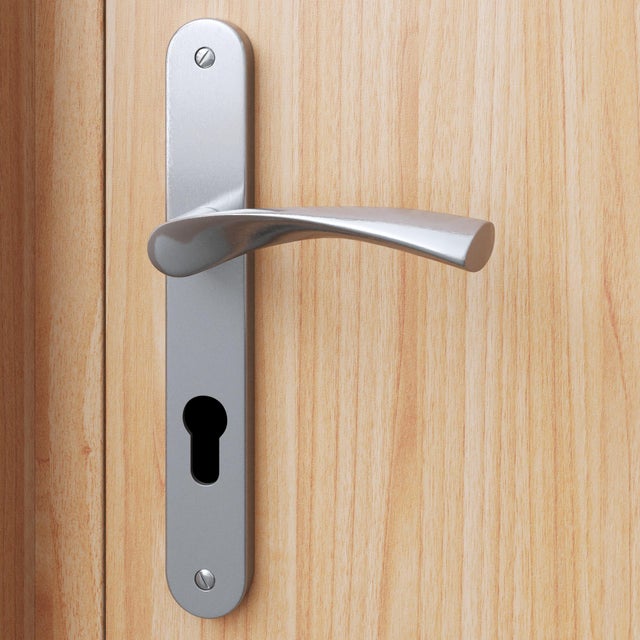 Poignée de porte sur plaque aspect nickel entraxe 195 mm Clé en I INELA x2
