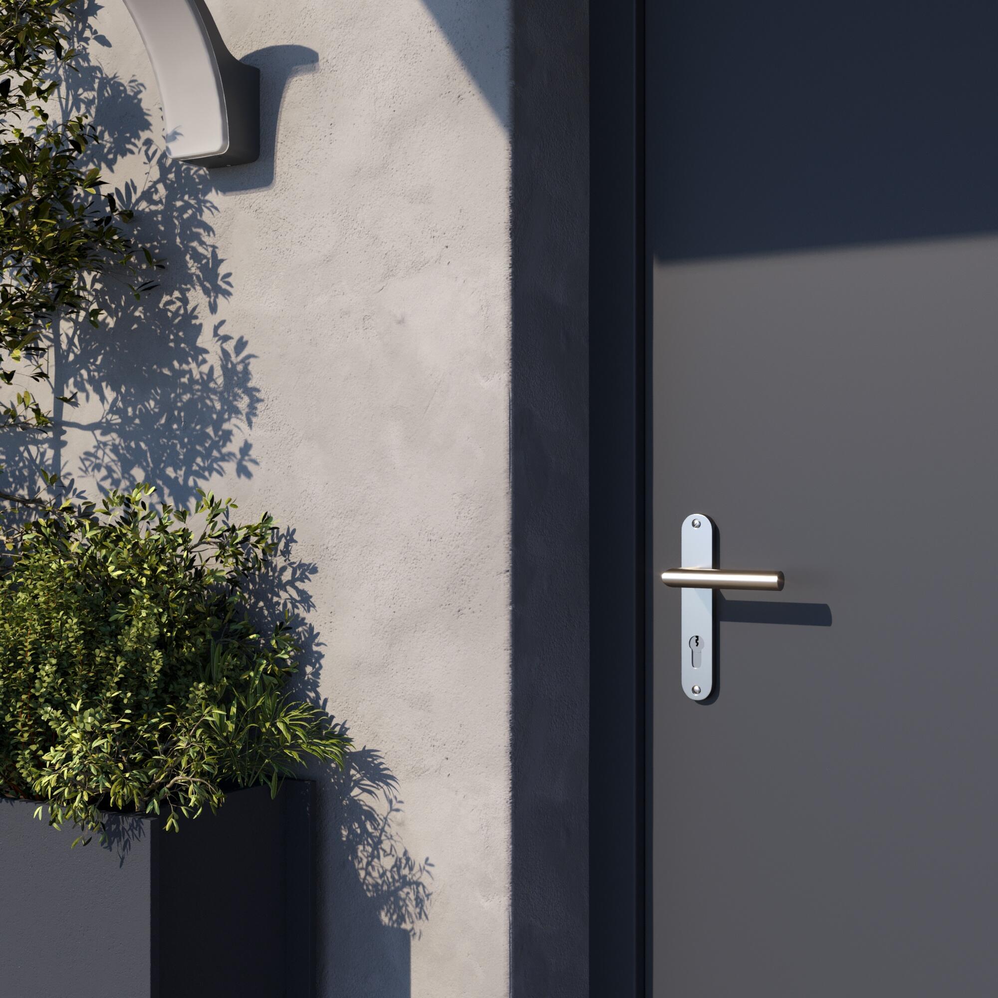 Poignée de porte sur plaque aspect nickel entraxe 165 mm Clé en I THEA x2 - 3