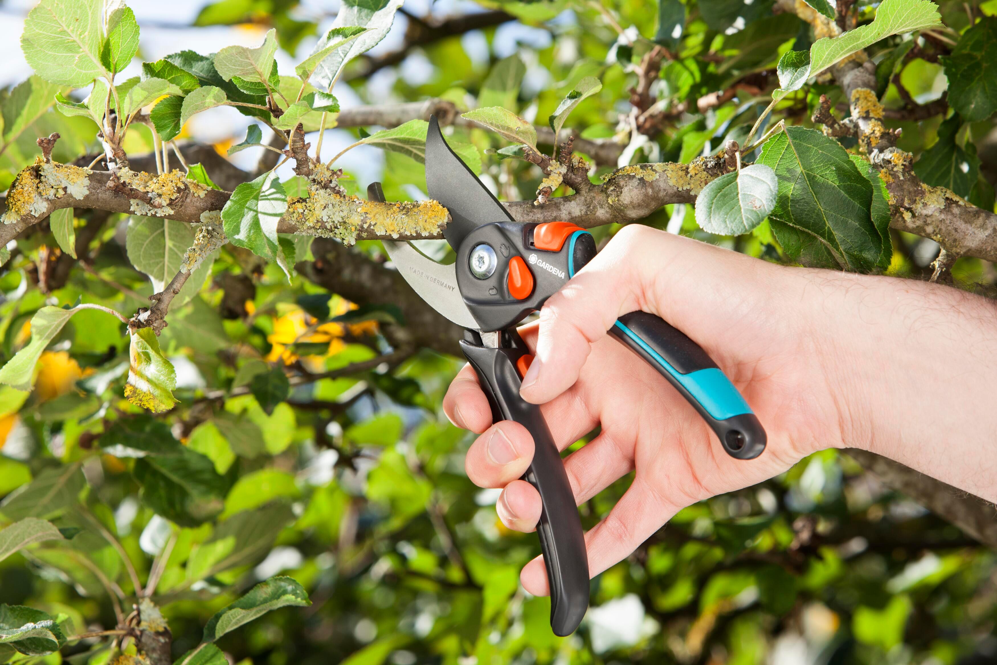 Potatore GARDENA Comfort B-S XL Taglio rami lame in inox antiaderente per rami fino a 24 mm - 4