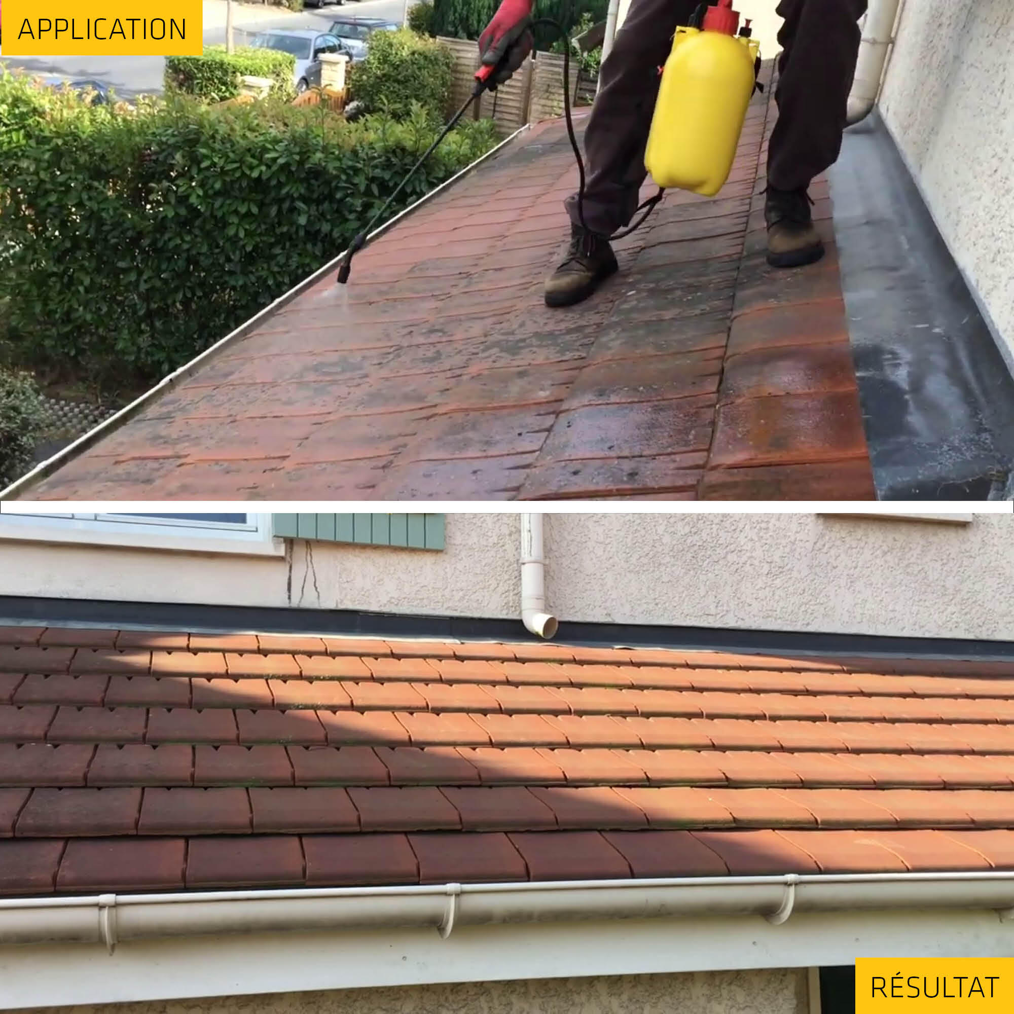 SIKA Stop traitement pour toitures, façades et terrasses 20 L - 3