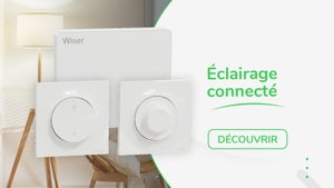 Lot De 2 Connecteurs R'clicXE Schneider Electric - Compatible DuoLine, D'clic Vigi, ID'clic - Bornes Tunnel 63A