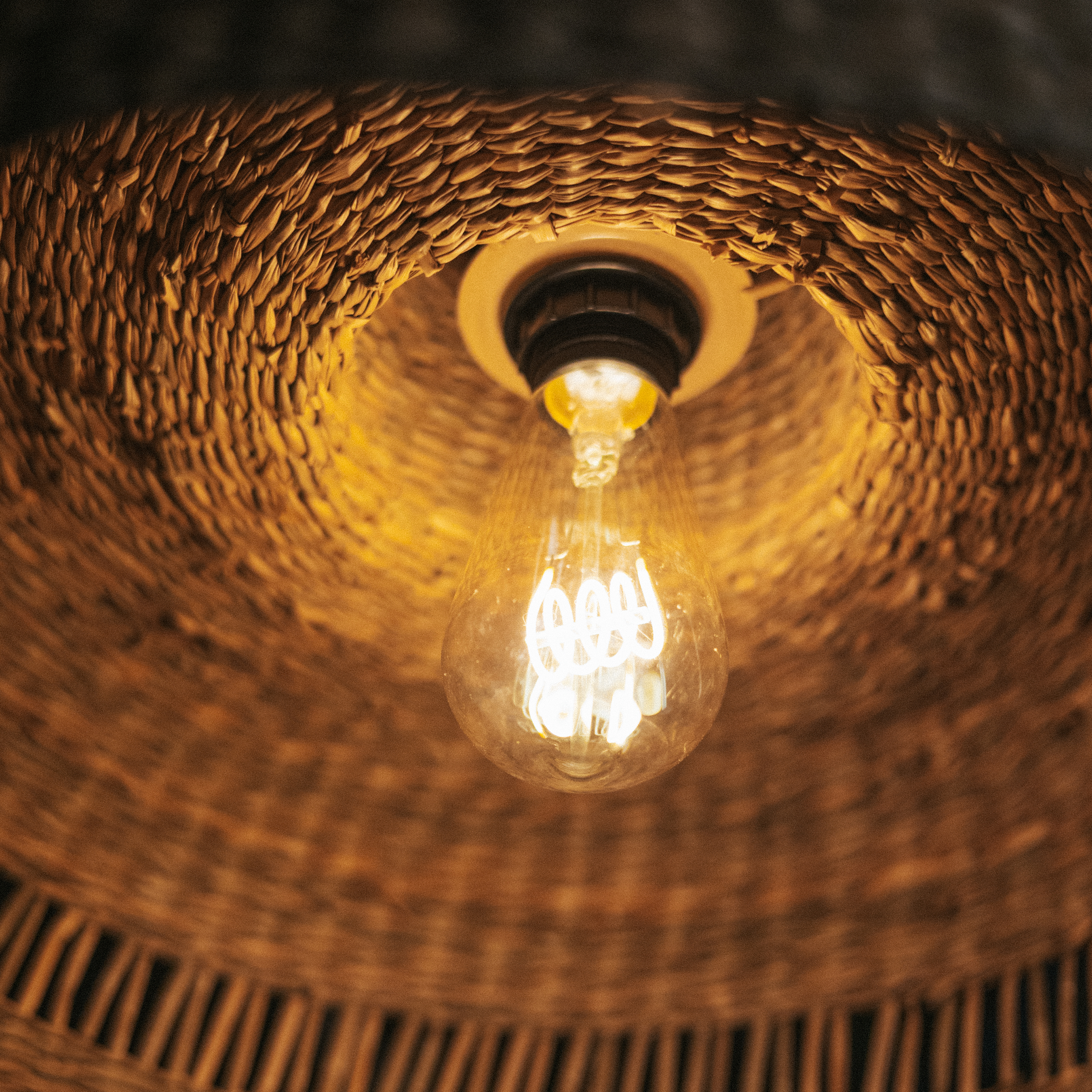 Suspensão leve sem fonte de luz exterior E27 Inspire Cambril - 28