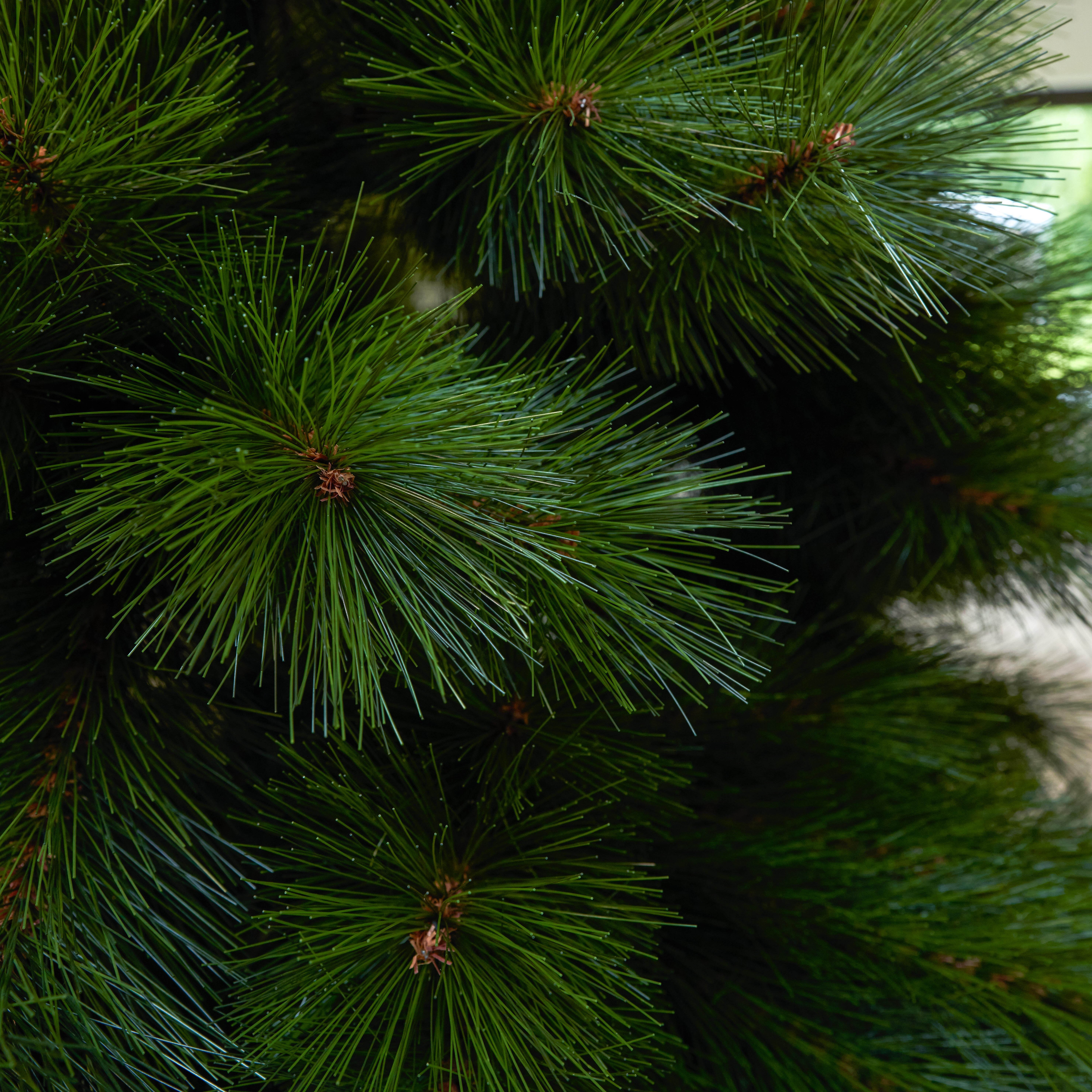 Árbol de Navidad Morry verde de 180 cm de alto - 6