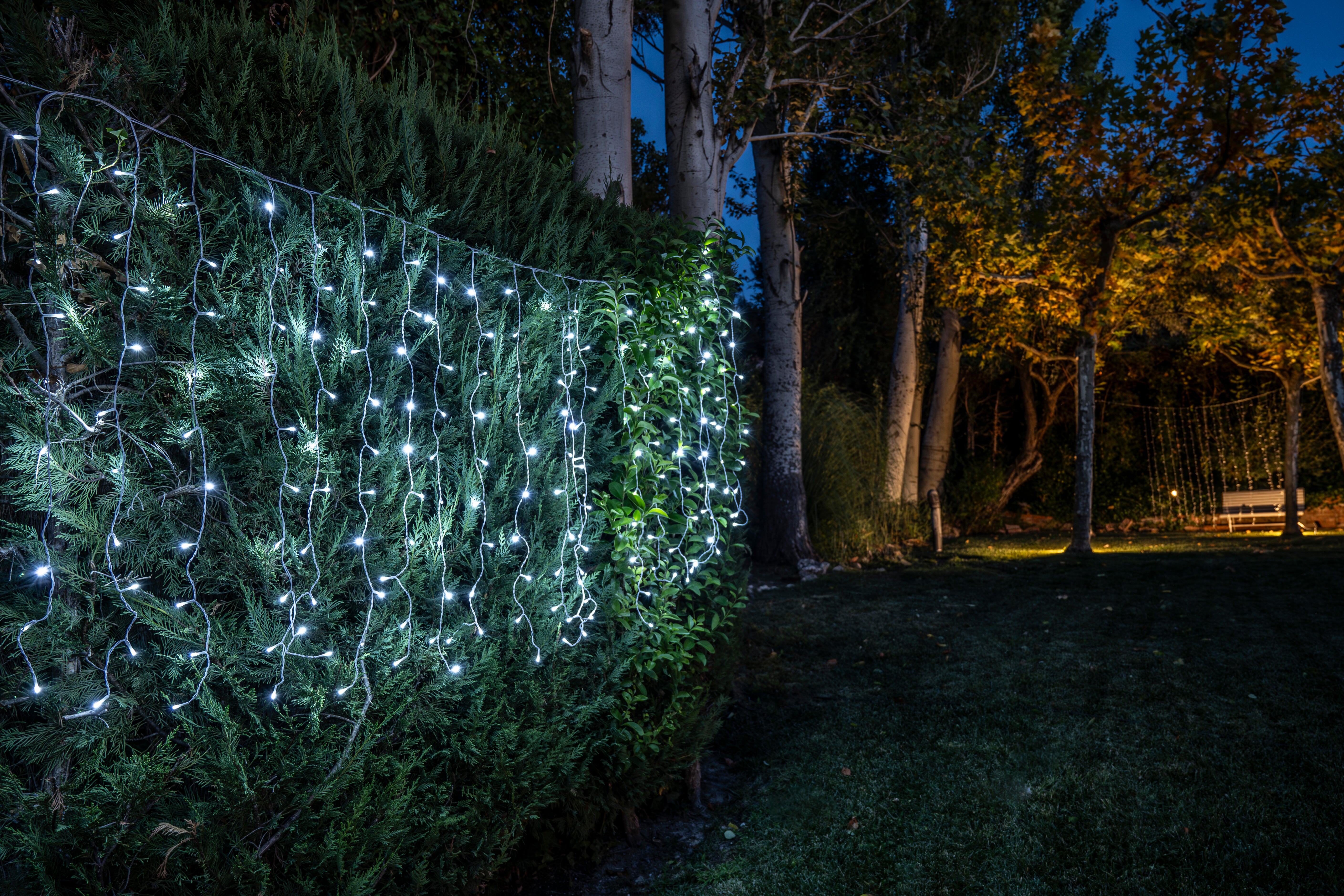 Cortina 200 bombillas LED Blanco frío 200x100 cm - 3