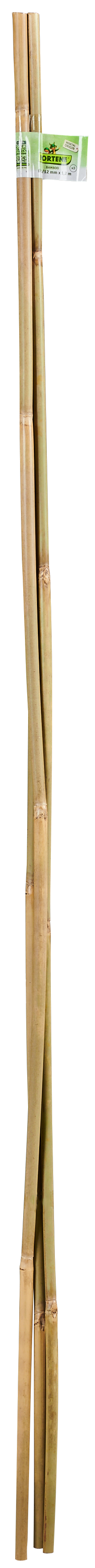 Tyczka bambusowa 120 cm x 10/12 mm Nortene - 3