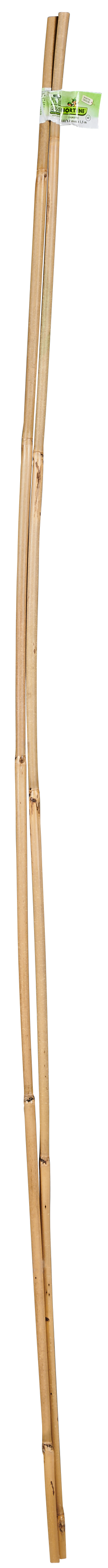 Tyczka bambusowa 150 cm x 12/14 mm Nortene - 3