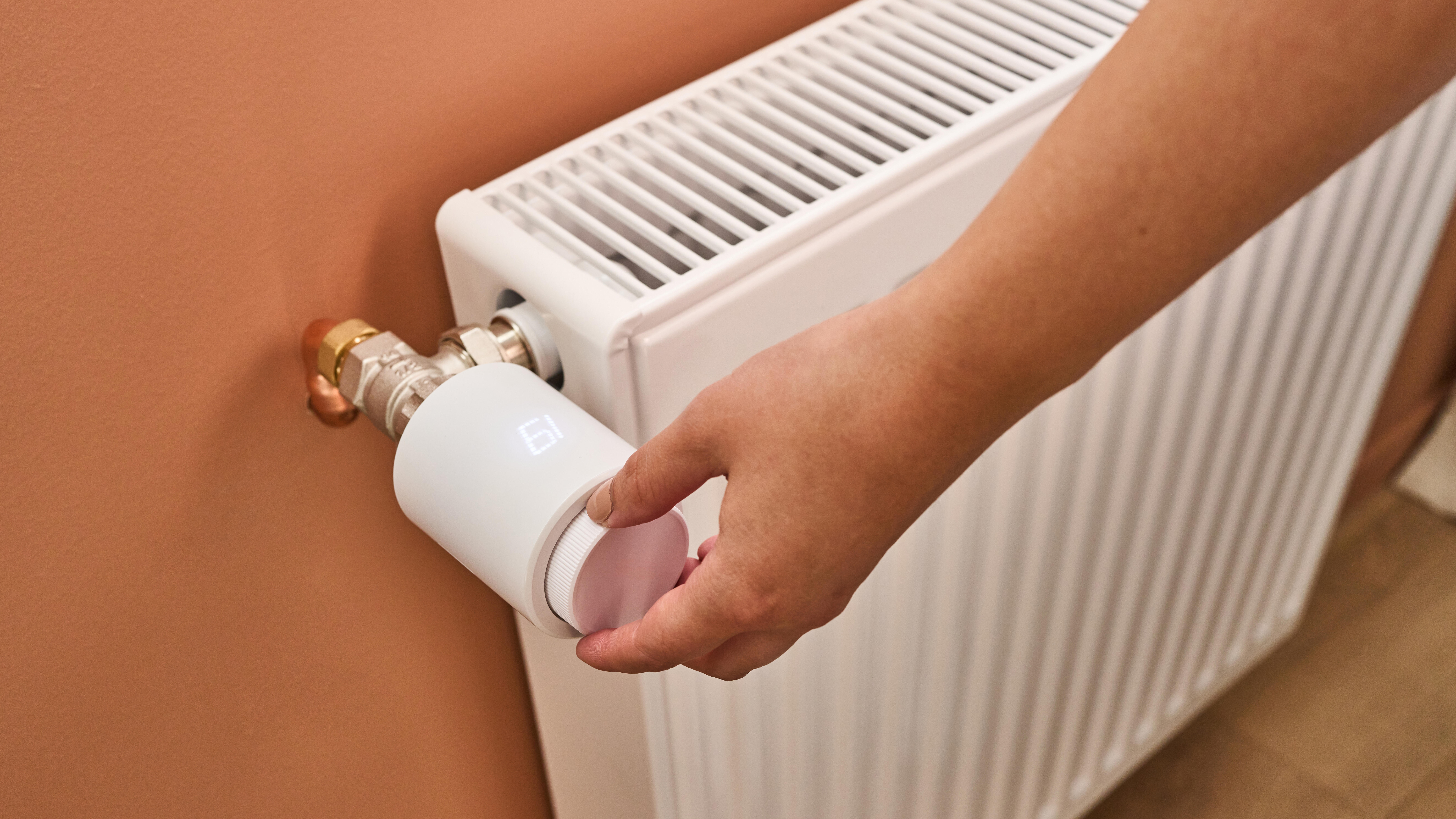 Radiateur eau chaude 965W, l.60xH.60 cm Easy DE'LONGHI horizontal blanc - 5