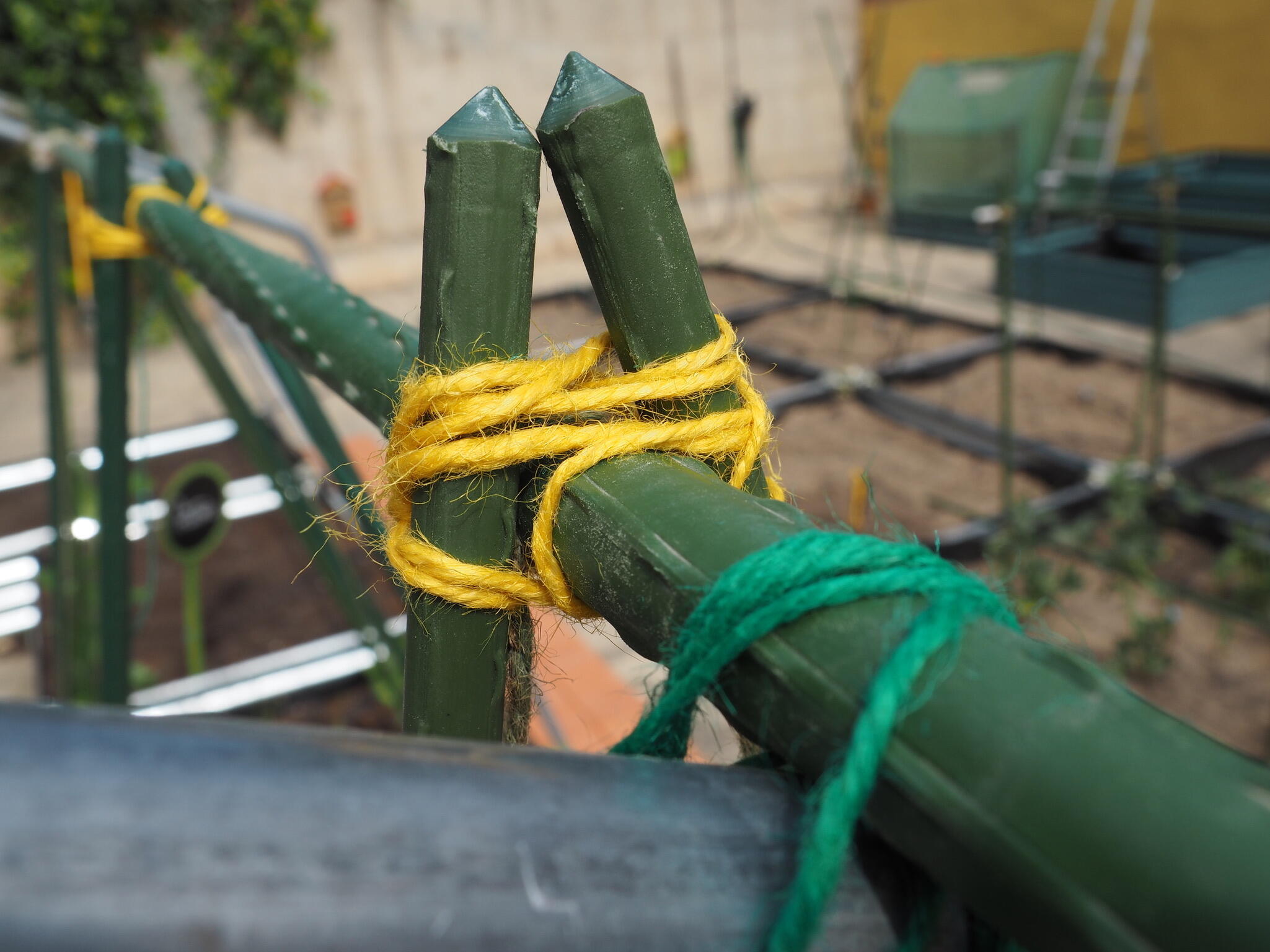 Tutor de 2.4m de alto y 16 mm de diámetro - 3