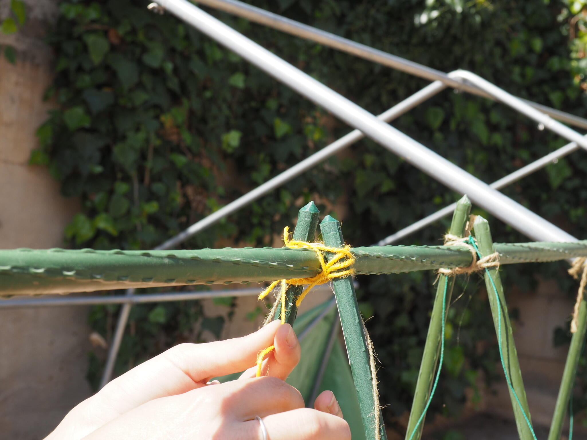 Tutor de 1.8m de alto y 16 mm de diámetro - 4