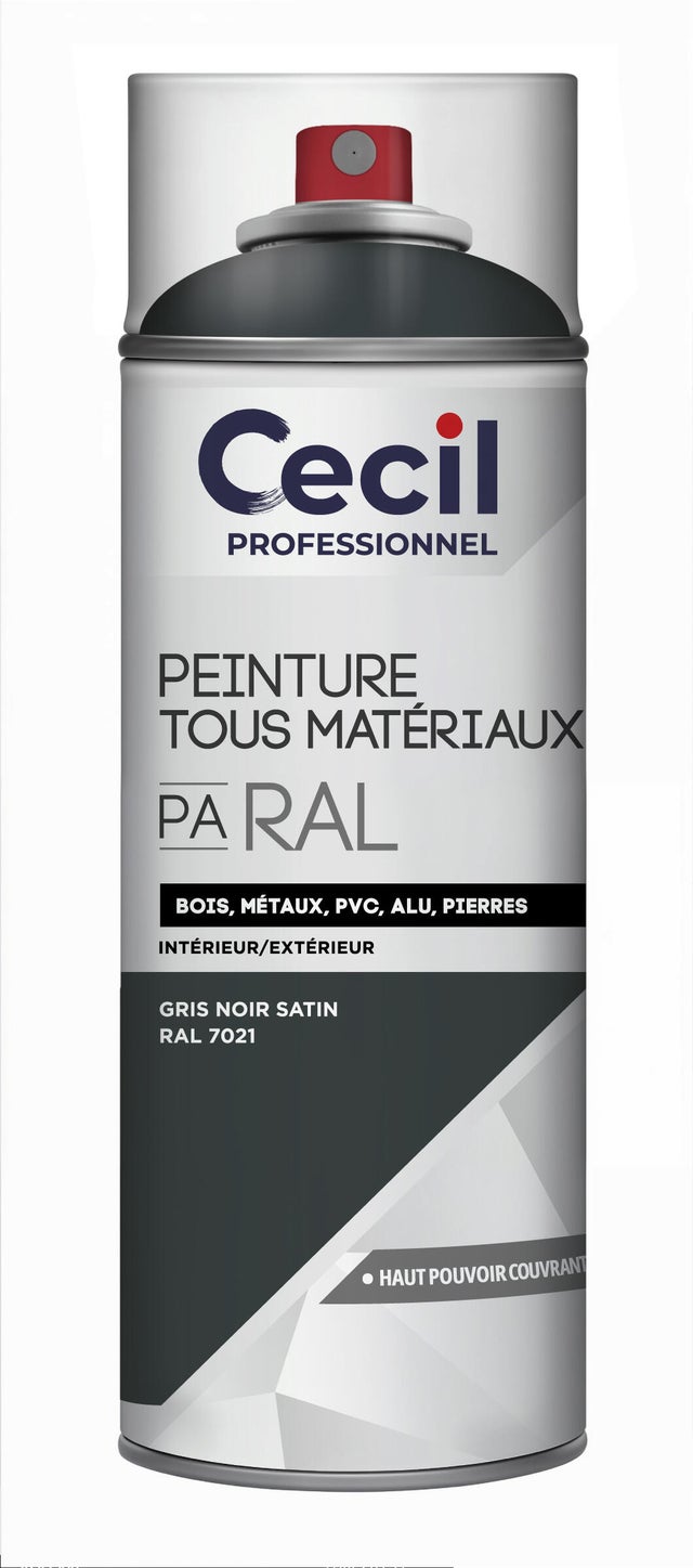 Peinture aérosol tous matériaux int/ext gris noir satin RAL7021 400 ml - CECIL PRO
