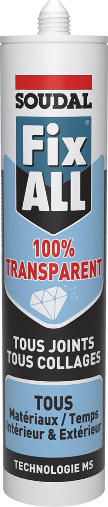 LOT 2 COLLE/JOINT TRANSPA 290ML FIX ALL - 2