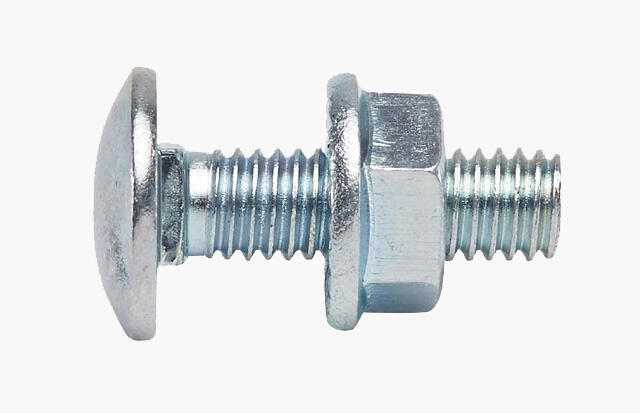Boulon Diam.6 mm tête ronde collet carré Boîte de 50 - VISWOOD - 2
