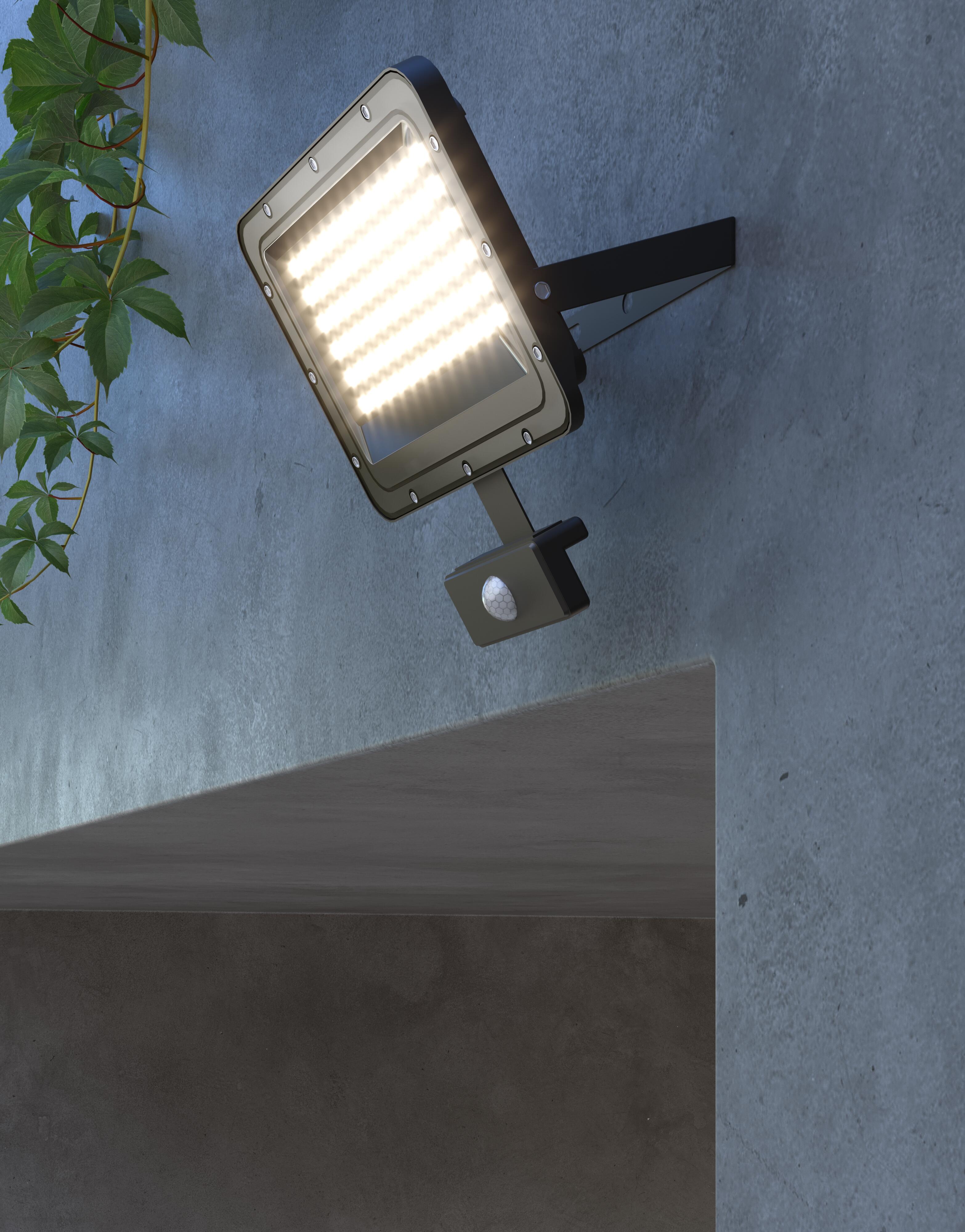 PROYECTOR LED 50W CCT - 3