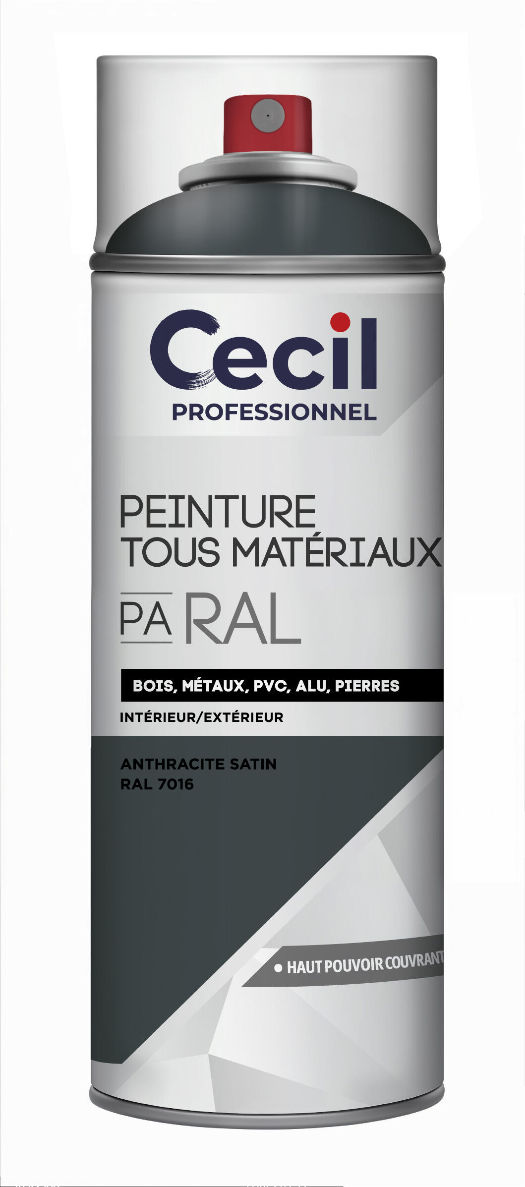 Peinture aérosol tous matériaux int/ext anthracite satin RAL7016 400 ml - CECIL PRO - 2