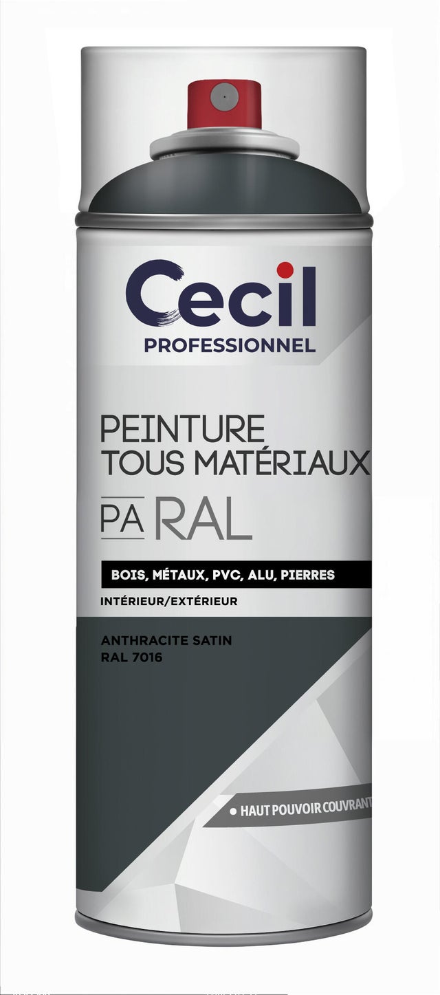 Peinture aérosol tous matériaux int/ext anthracite satin RAL7016 400 ml - CECIL PRO