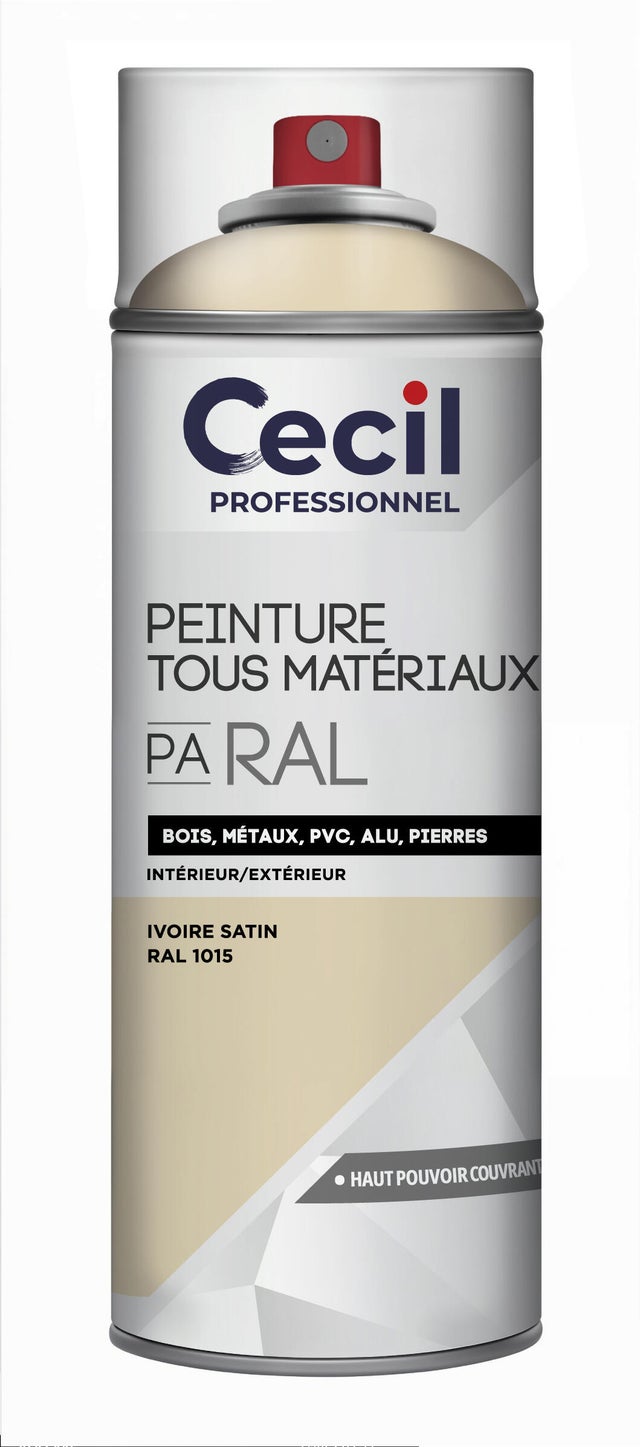 Peinture aérosol tous matériaux int/ext ivoire satin RAL1015 400 ml - CECIL PRO