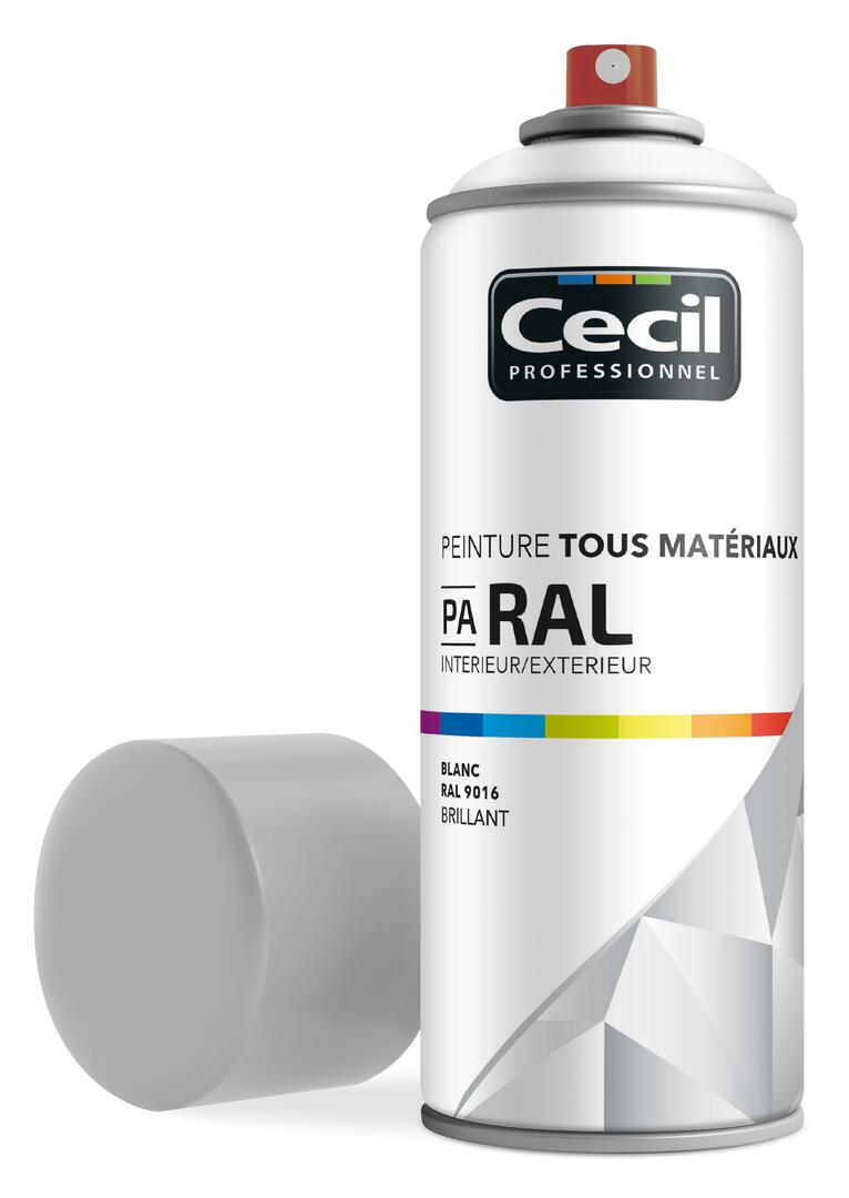 Peinture aérosol tous matériaux int/ext blanc brillant RAL9016 400 ml - CECIL PRO - 2