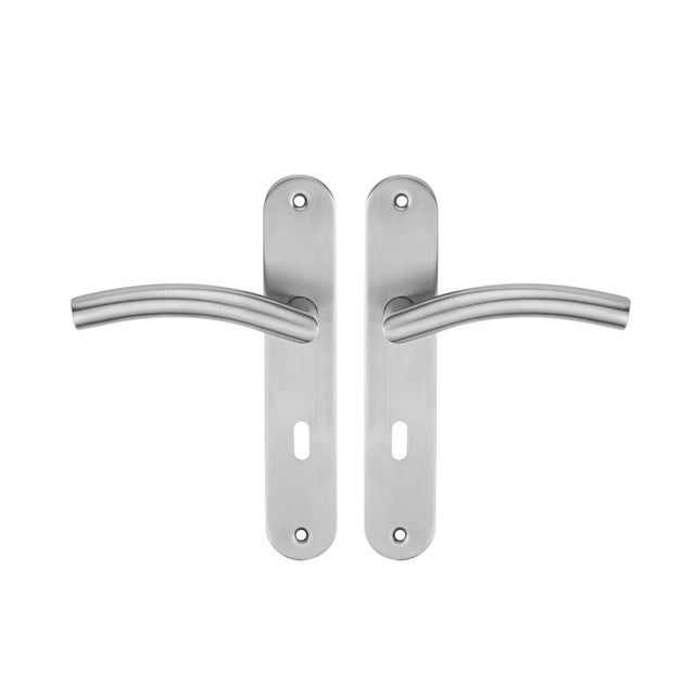Poignée de porte sur plaque aspect nickel entraxe 195 mm Clé en L LARA x2