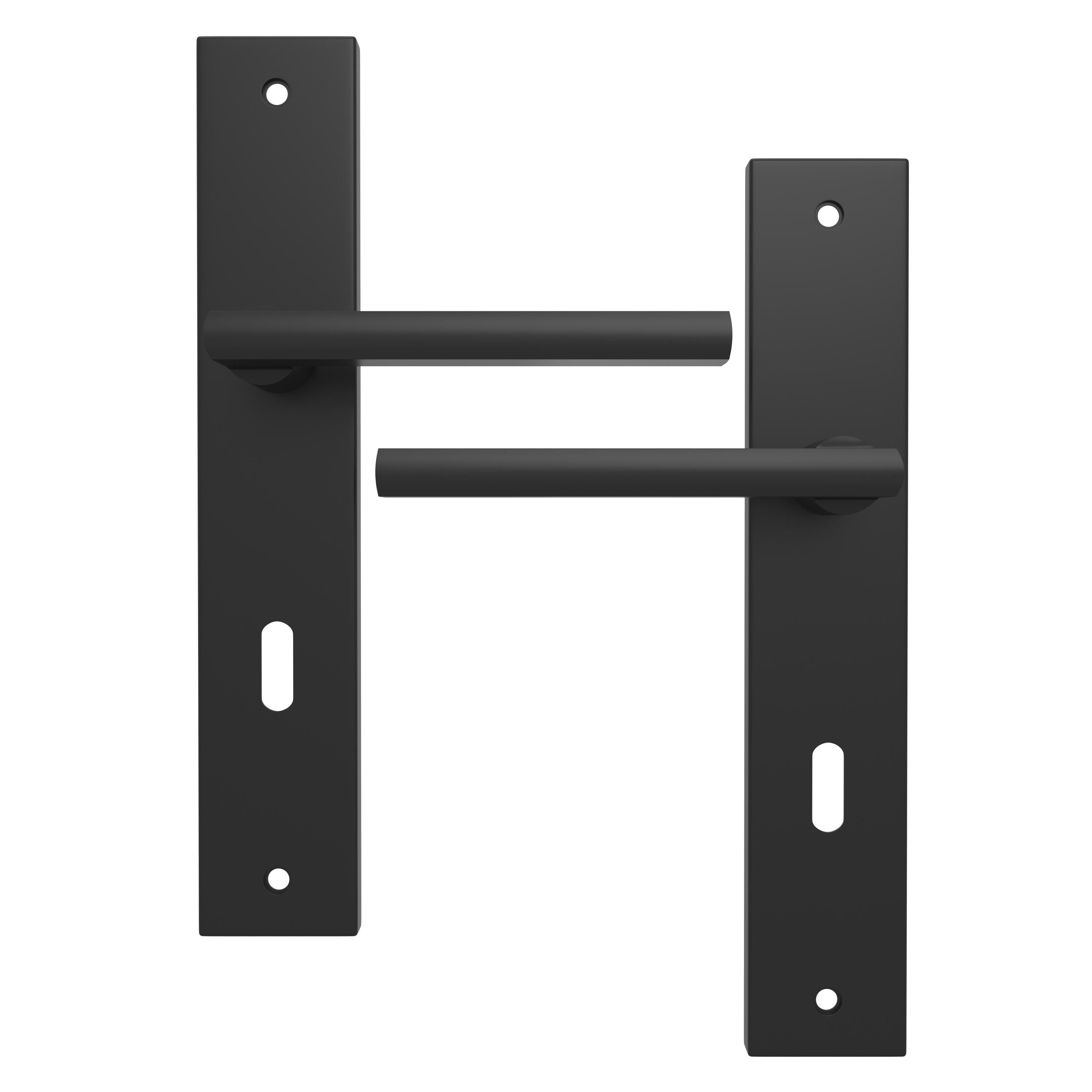 Poignée de porte sur plaque noire entraxe 195 mm Clé en L DAREN x2 - 2